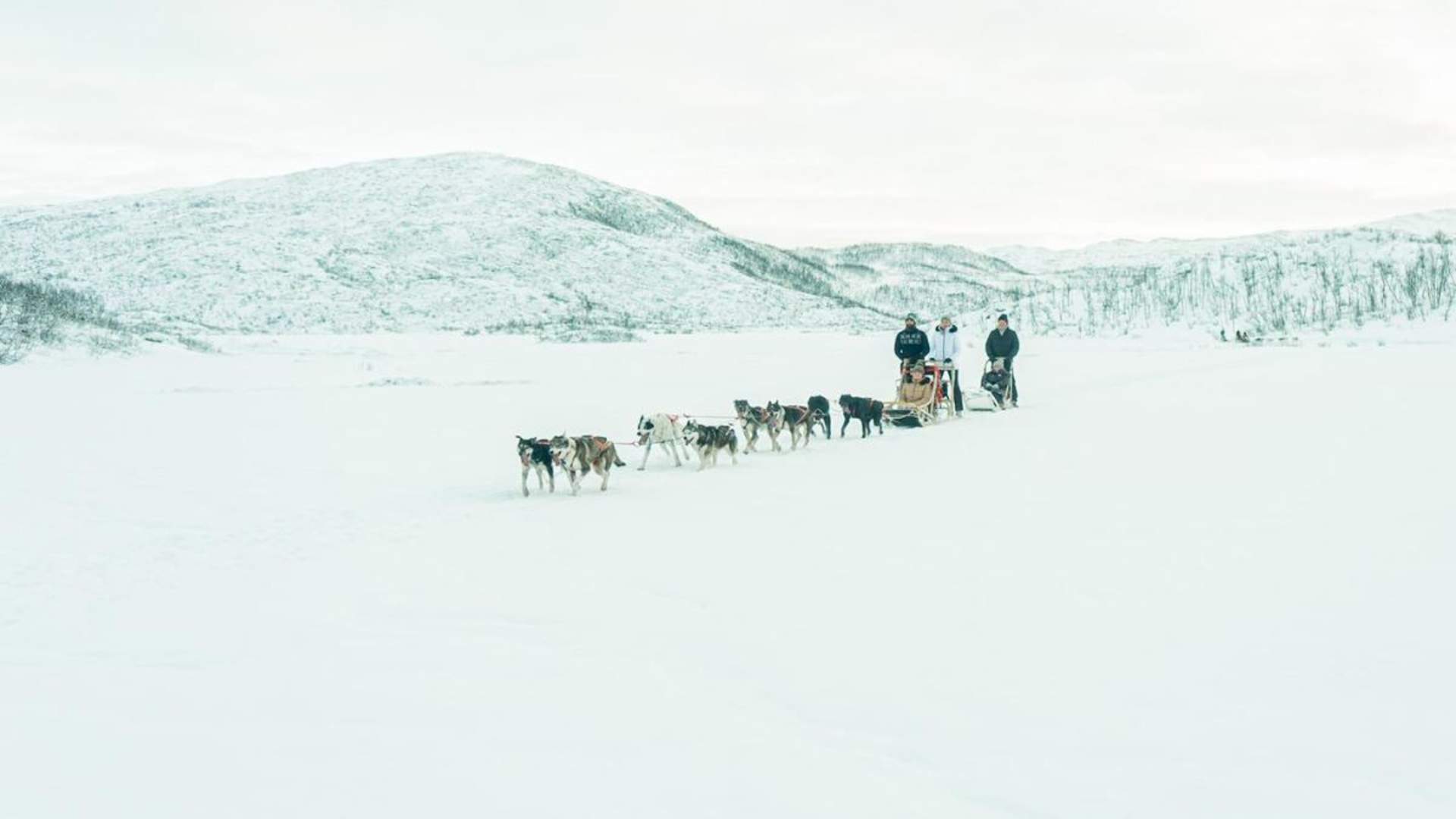 Dog sledding in Tromsø