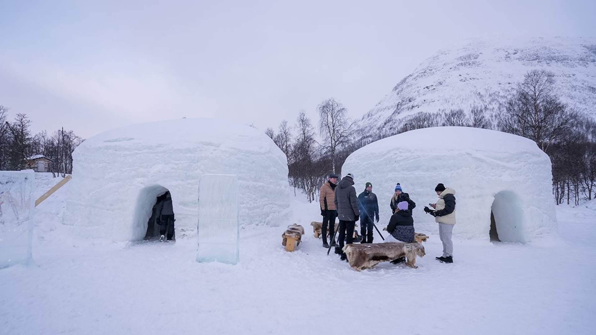 Tromsø Ice Domes & Wilderness Experience - Morning Departure - Including Transport