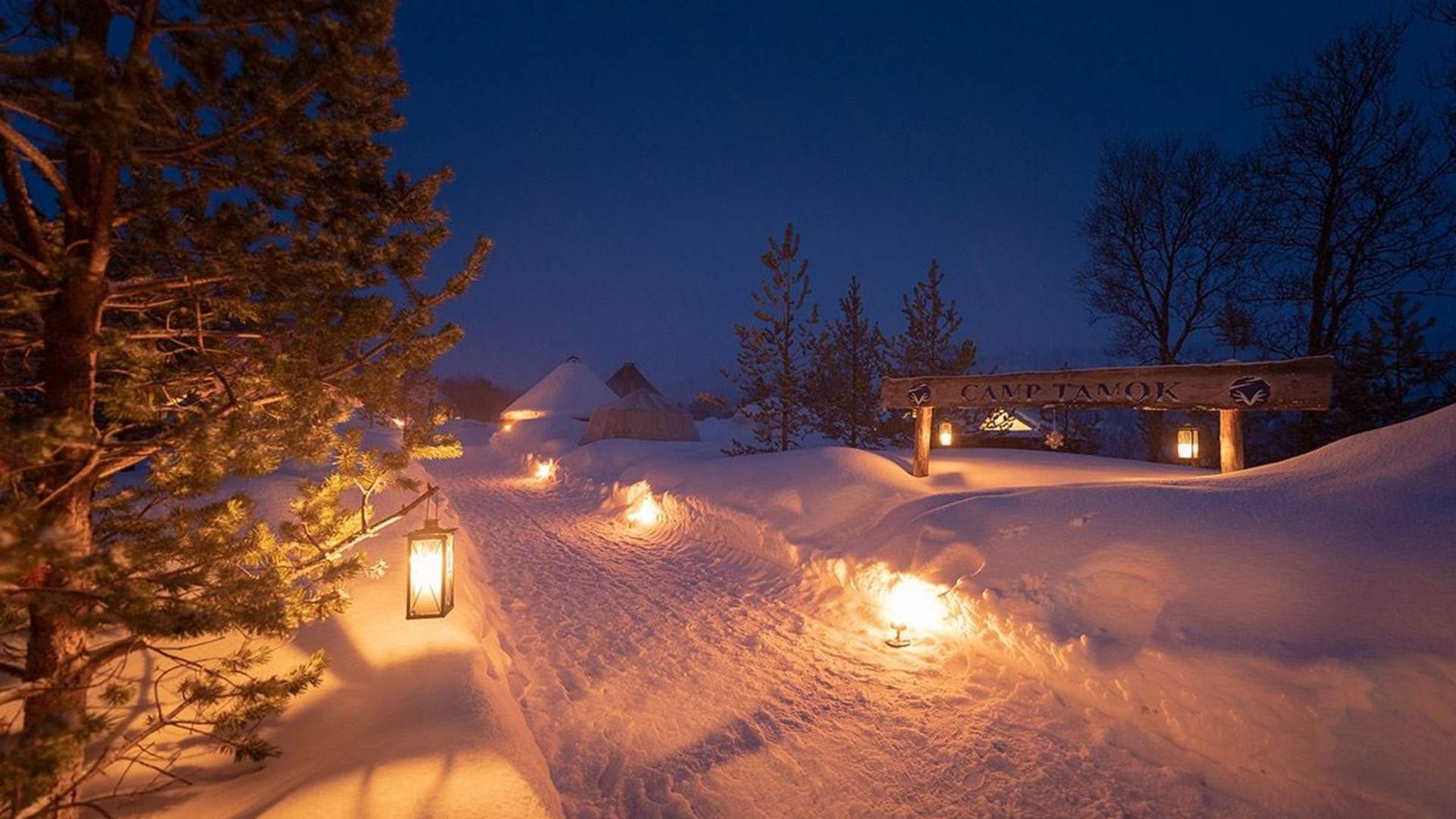 Northern Lights Visit - Excluding Transport