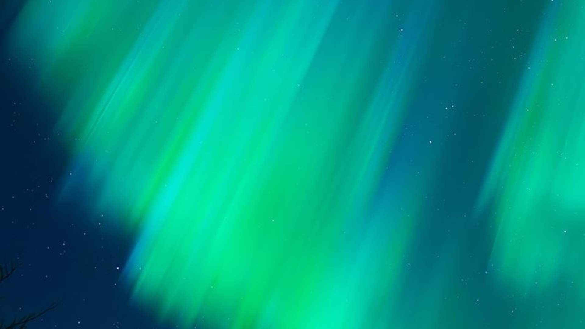 Northern Lights Visit - Excluding Transport