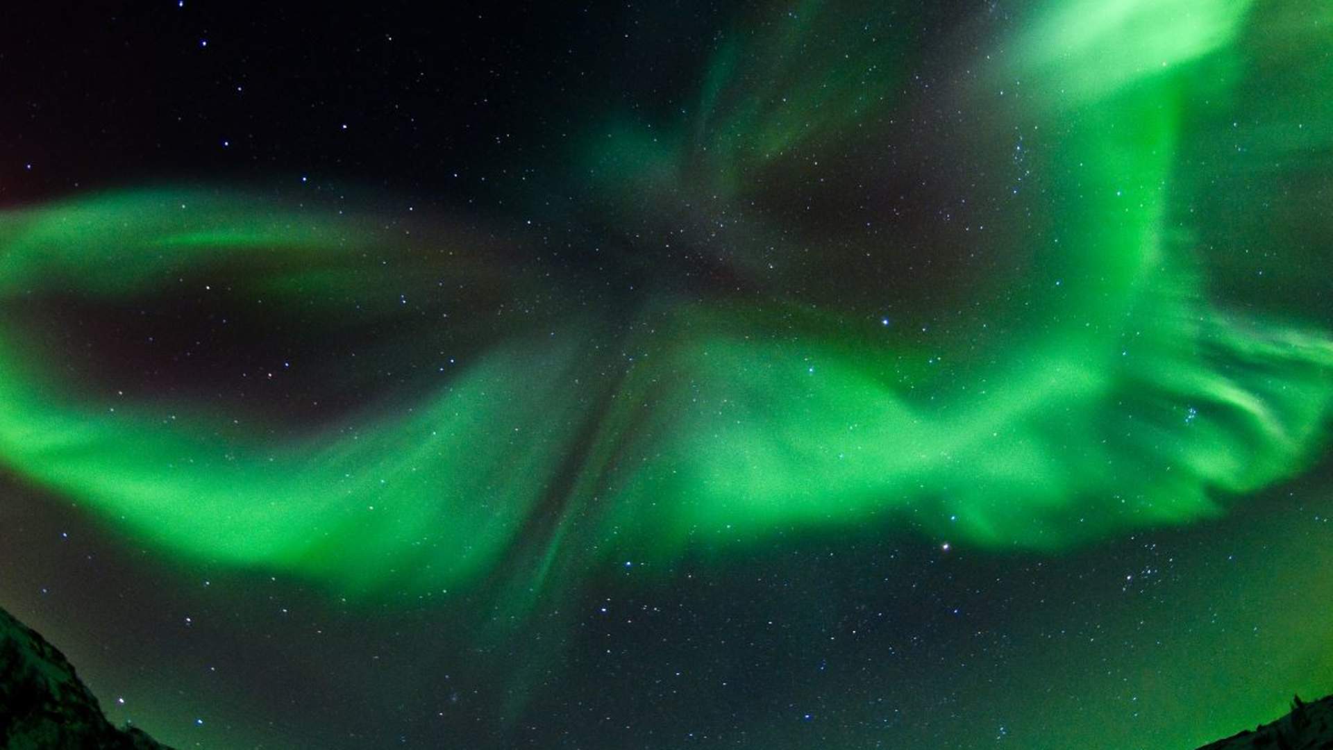 Northern lights and stargazing with minivan