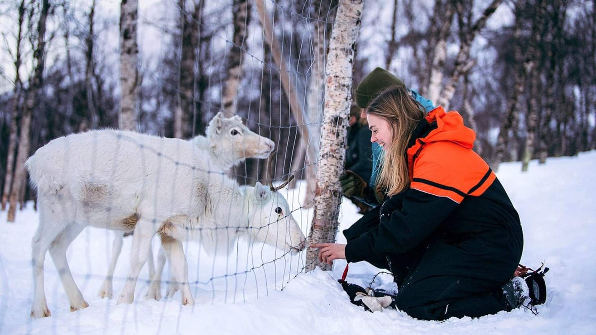 Snowshoeing & Tromsø Ice Domes Snow Park - Including Transport