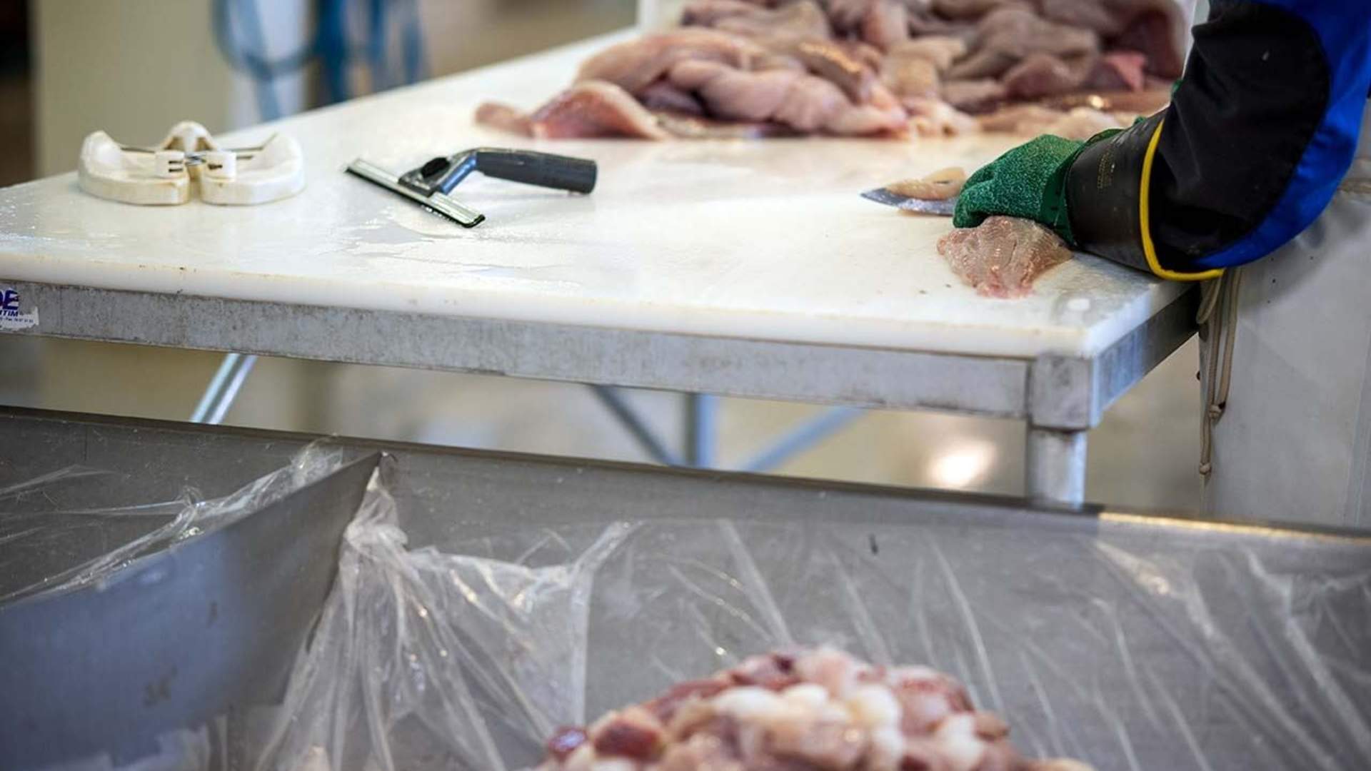 Taste Lofoten - Food Tour