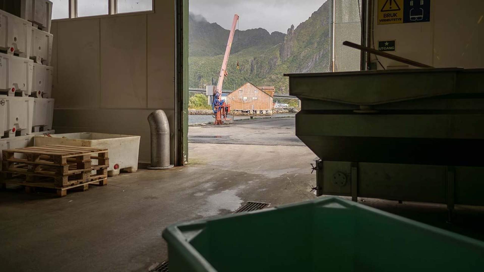 Taste Lofoten - Food Tour