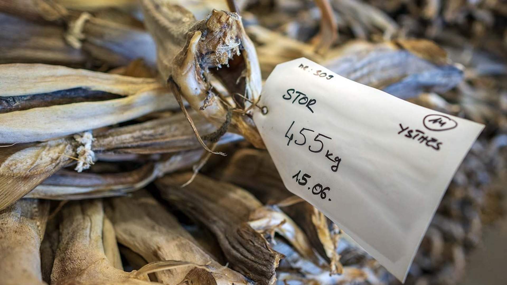 Taste Lofoten - Food Tour