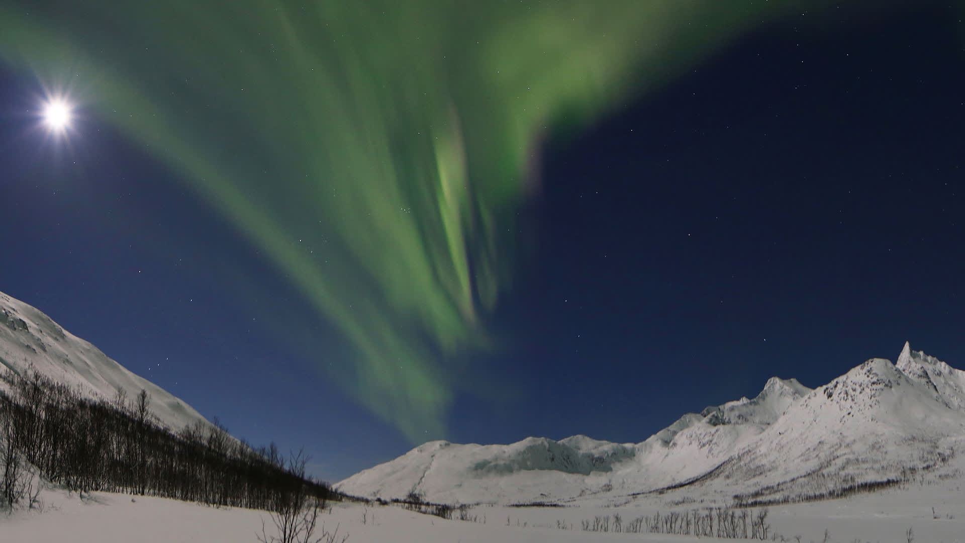 Coastal Northern Lights trip - private trip