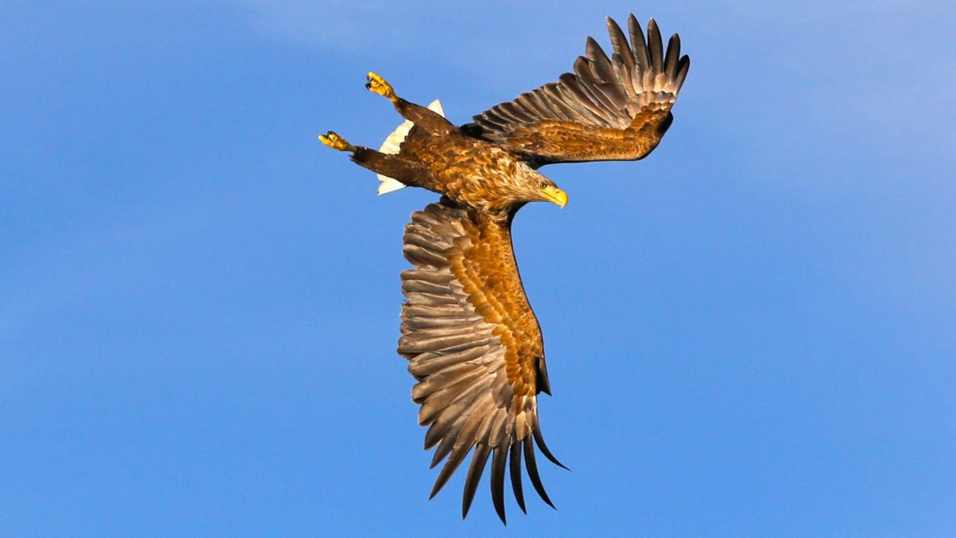 Arctic Road Trip – private tour