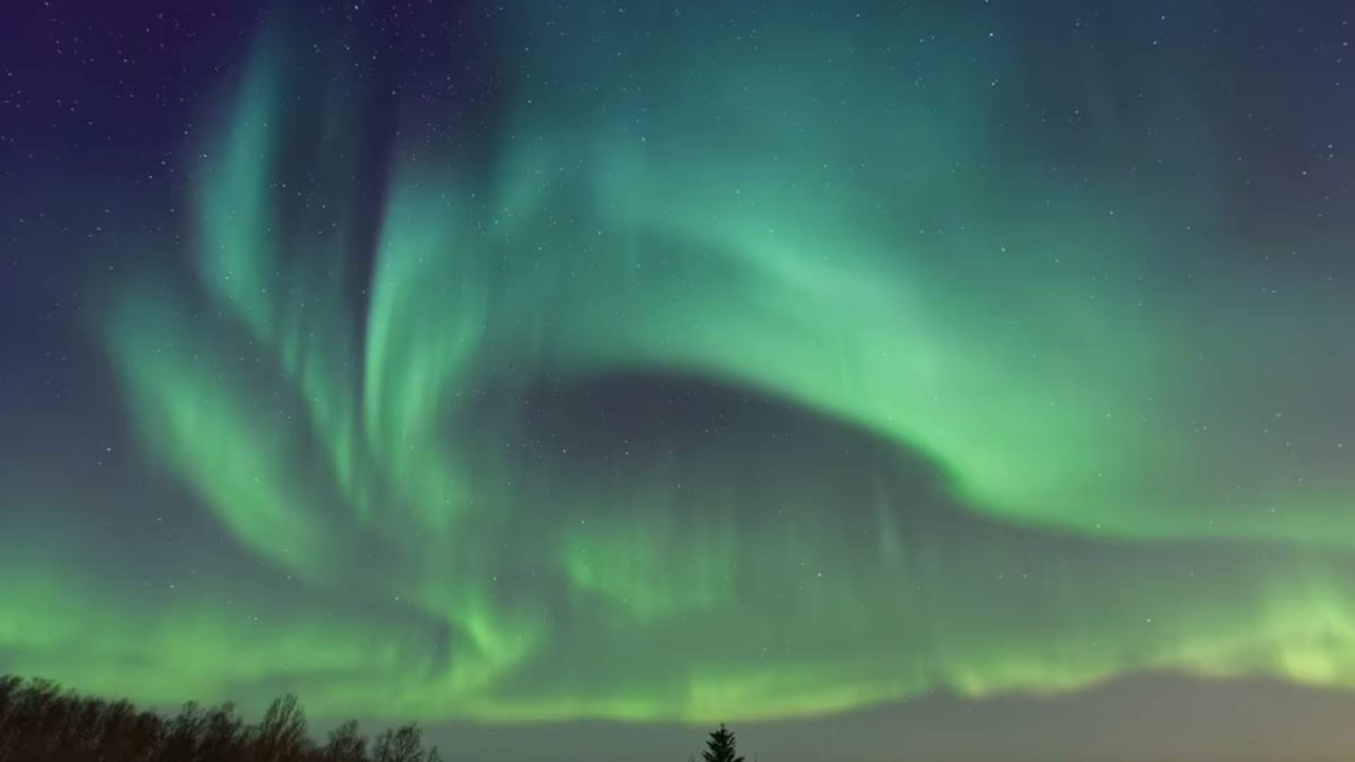 Nordlyseventyr i Nyksund med Nordspor