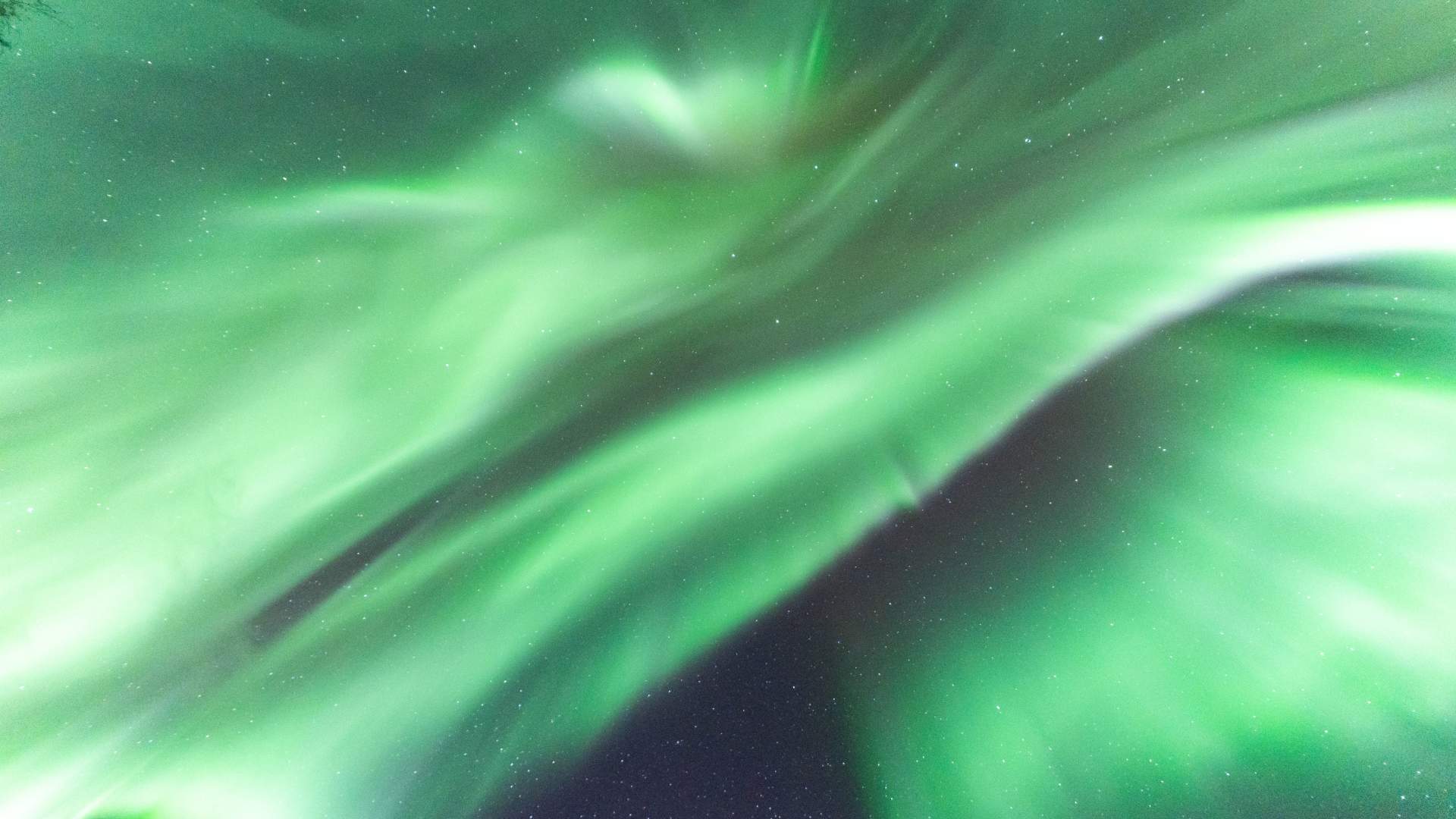 Nordlysjakt med ekte nordnorsk sjarm