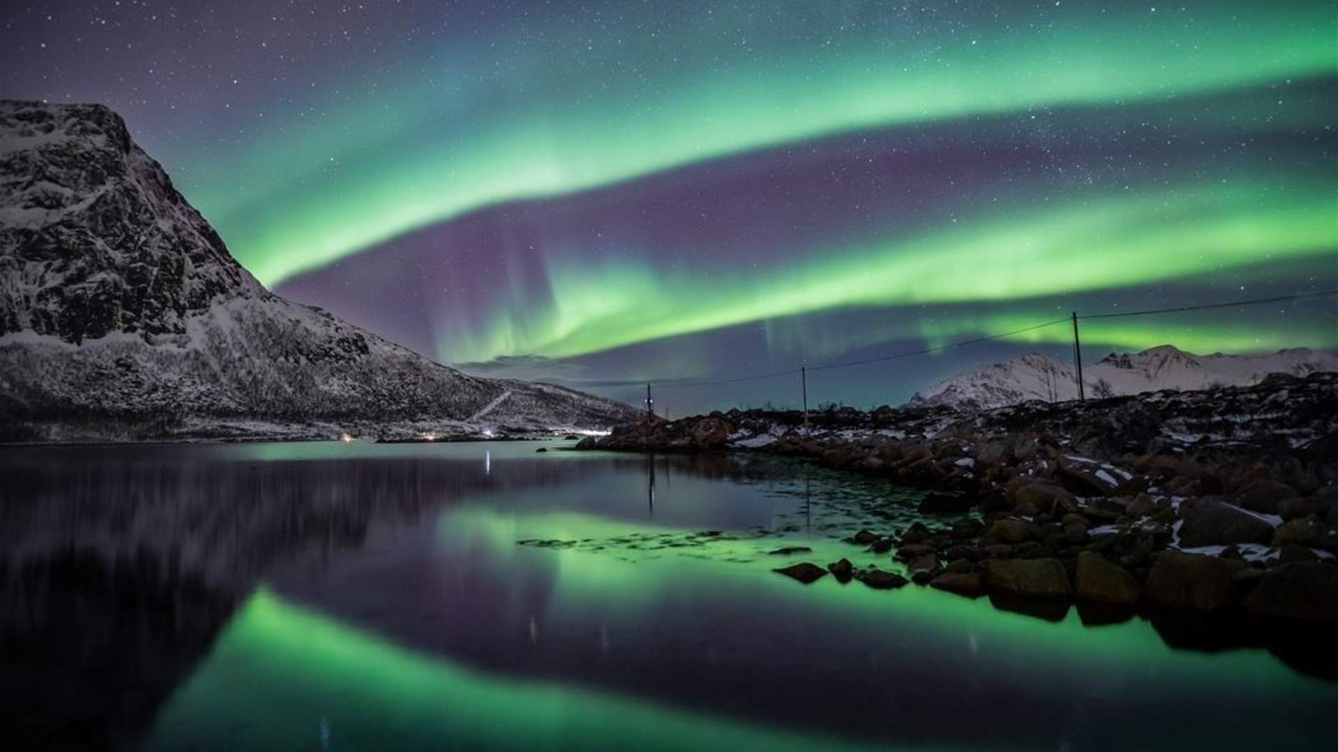 Aurora Safari Minibuss