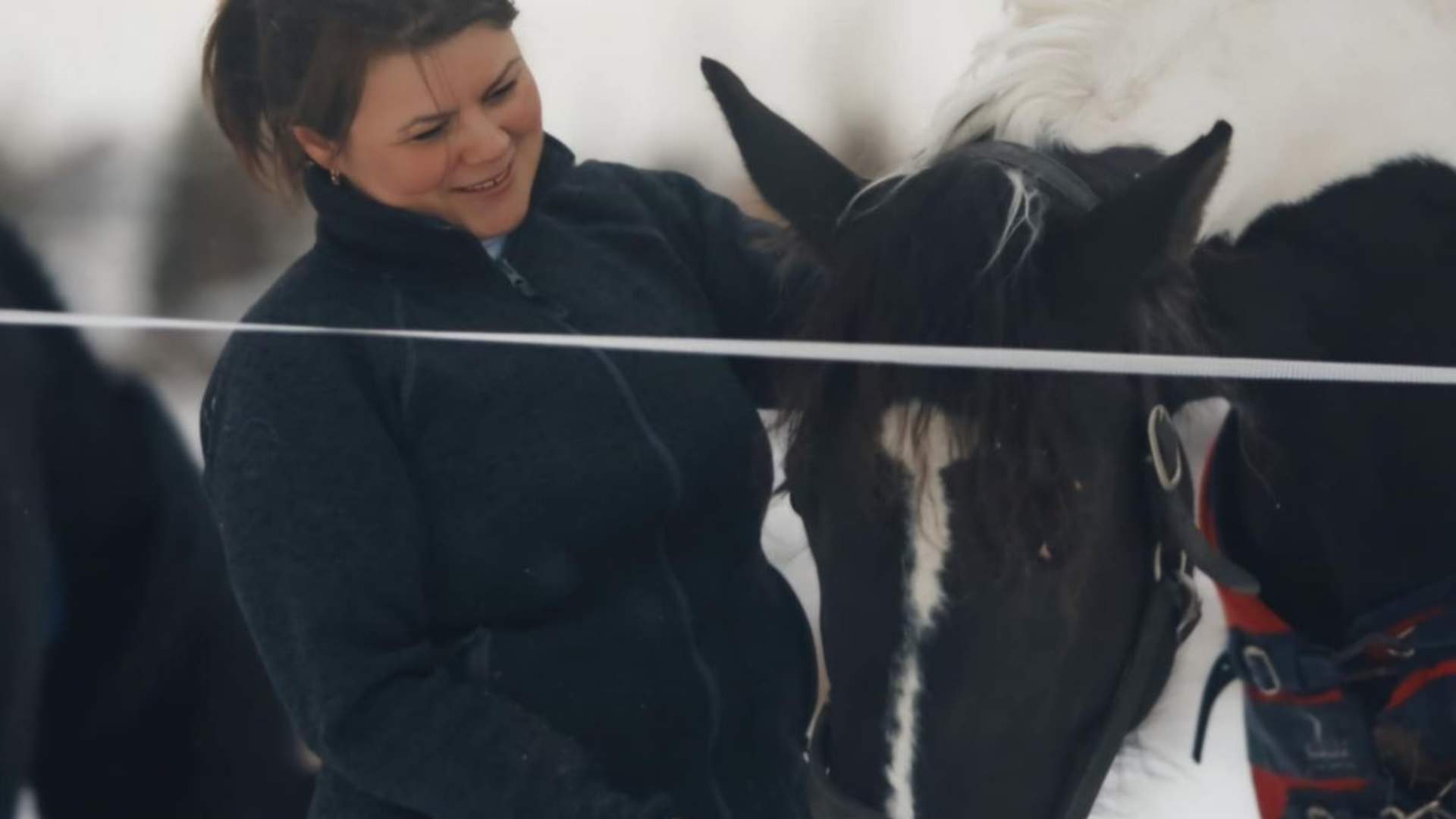 Nord-Norsk vinter opplevelse på Angell Gjestegård