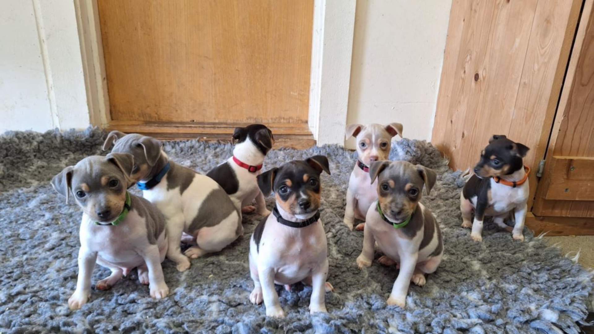 Nord-Norsk vinter opplevelse på Angell Gjestegård