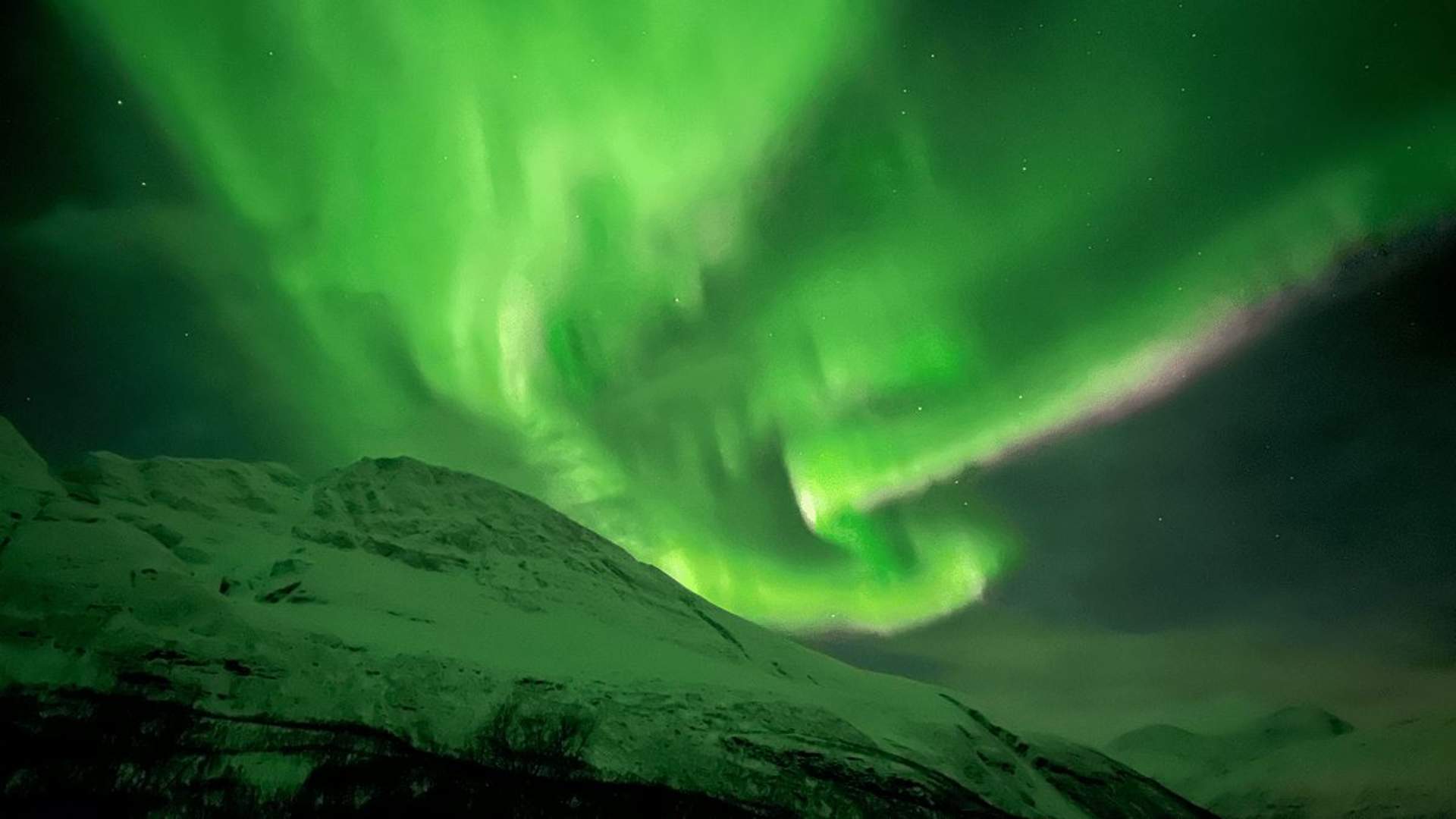 Nordlys med minibuss