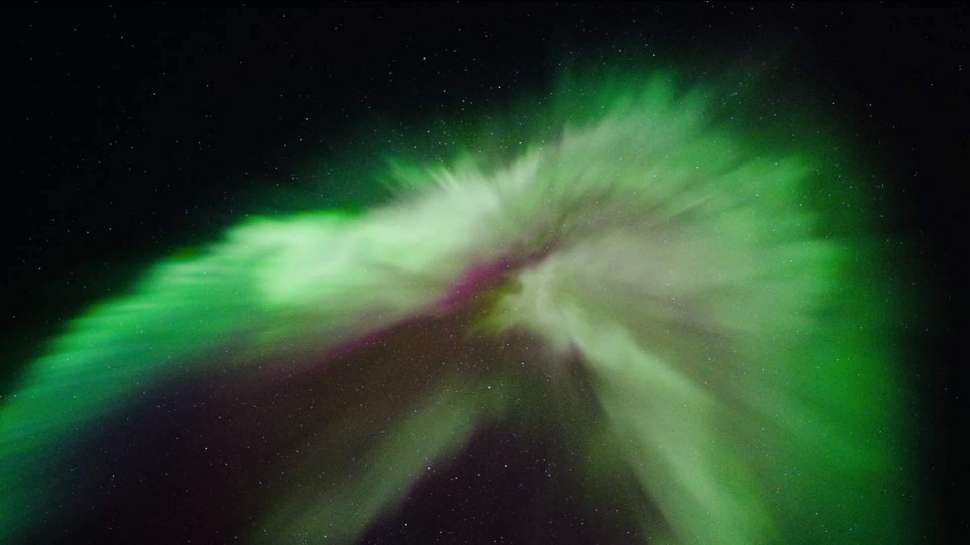 Nordlys med minibuss