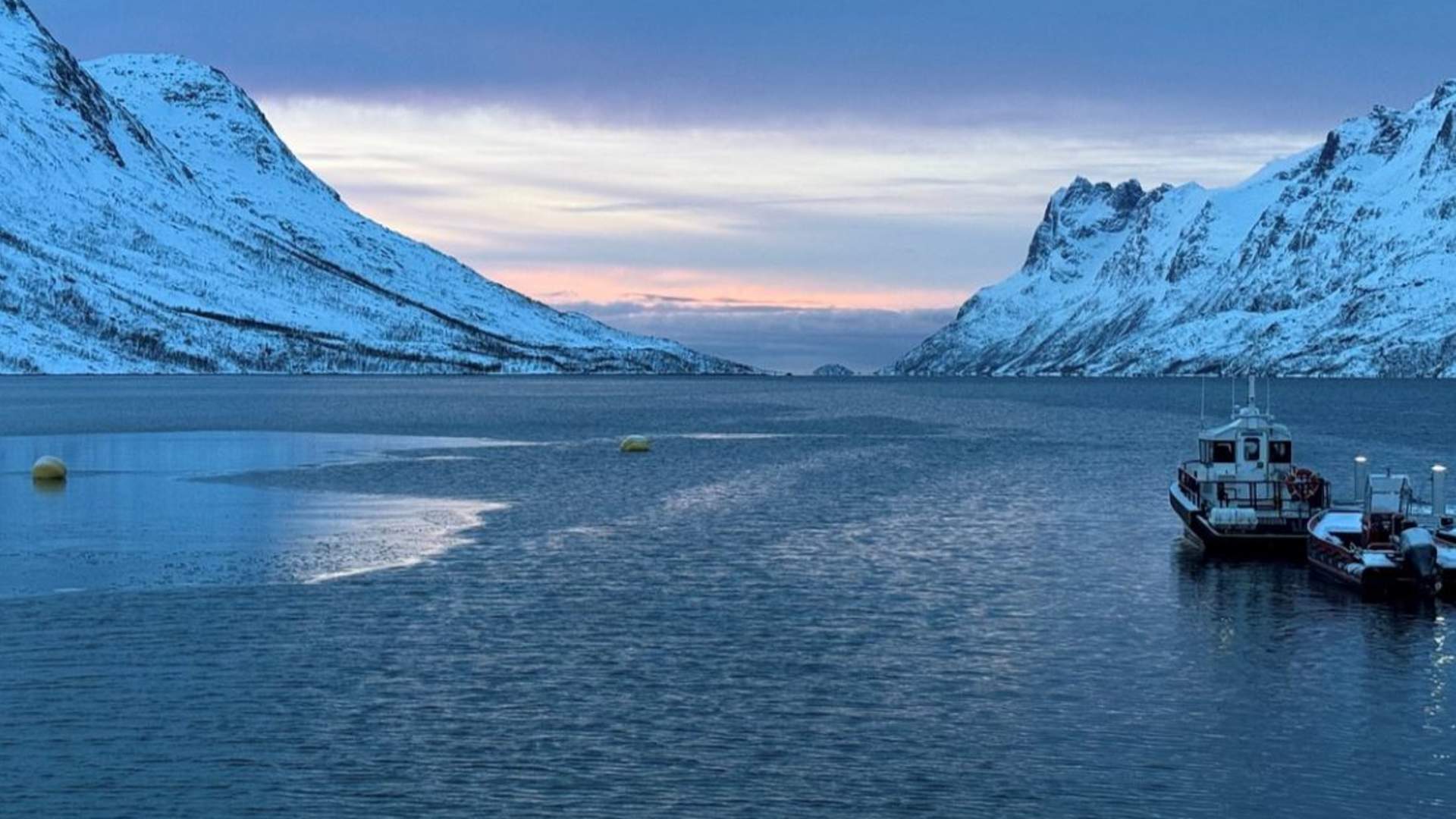 Arctic Fjord Tour