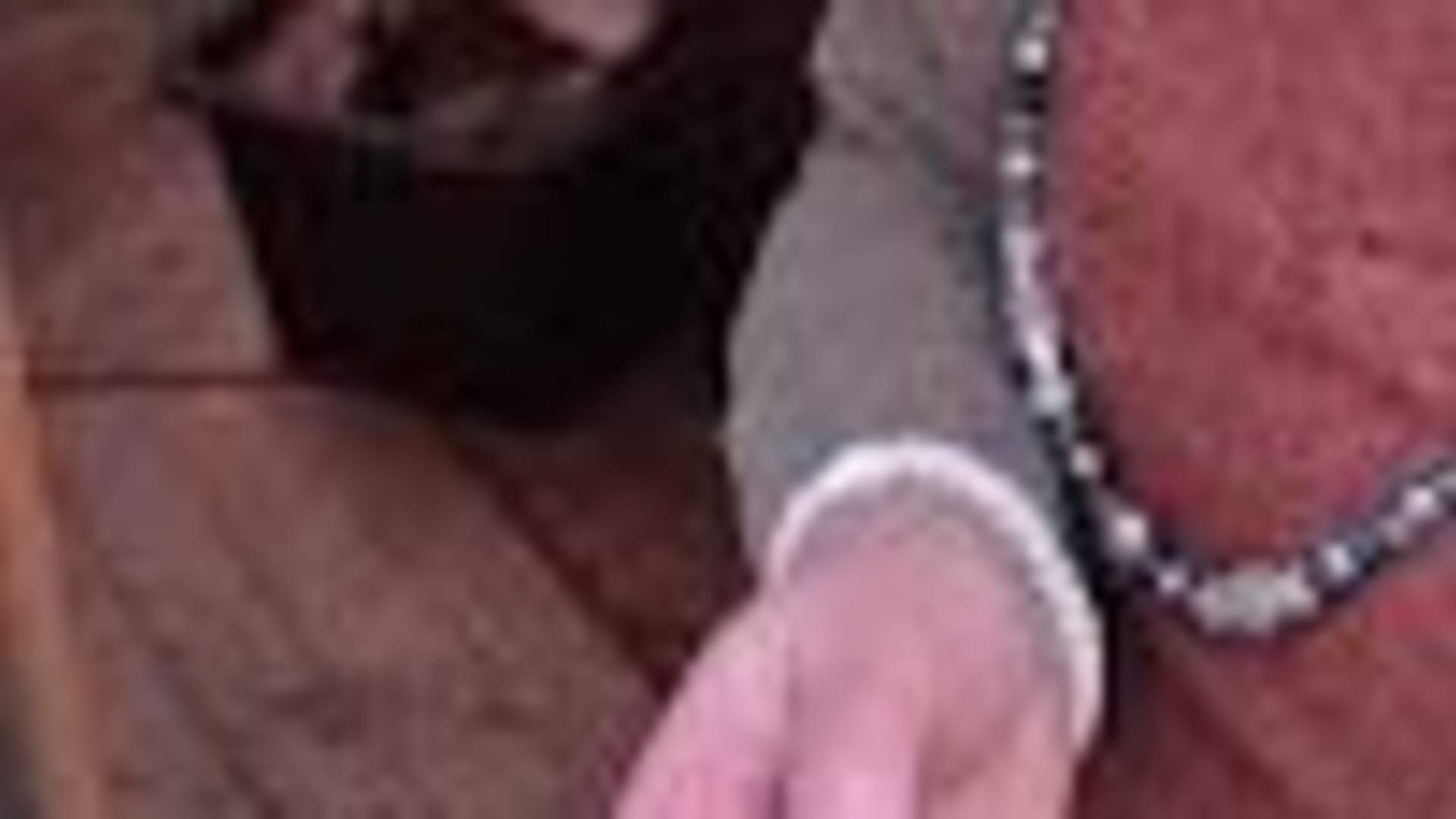 Farmers dinner - Homemade food and viking sheep