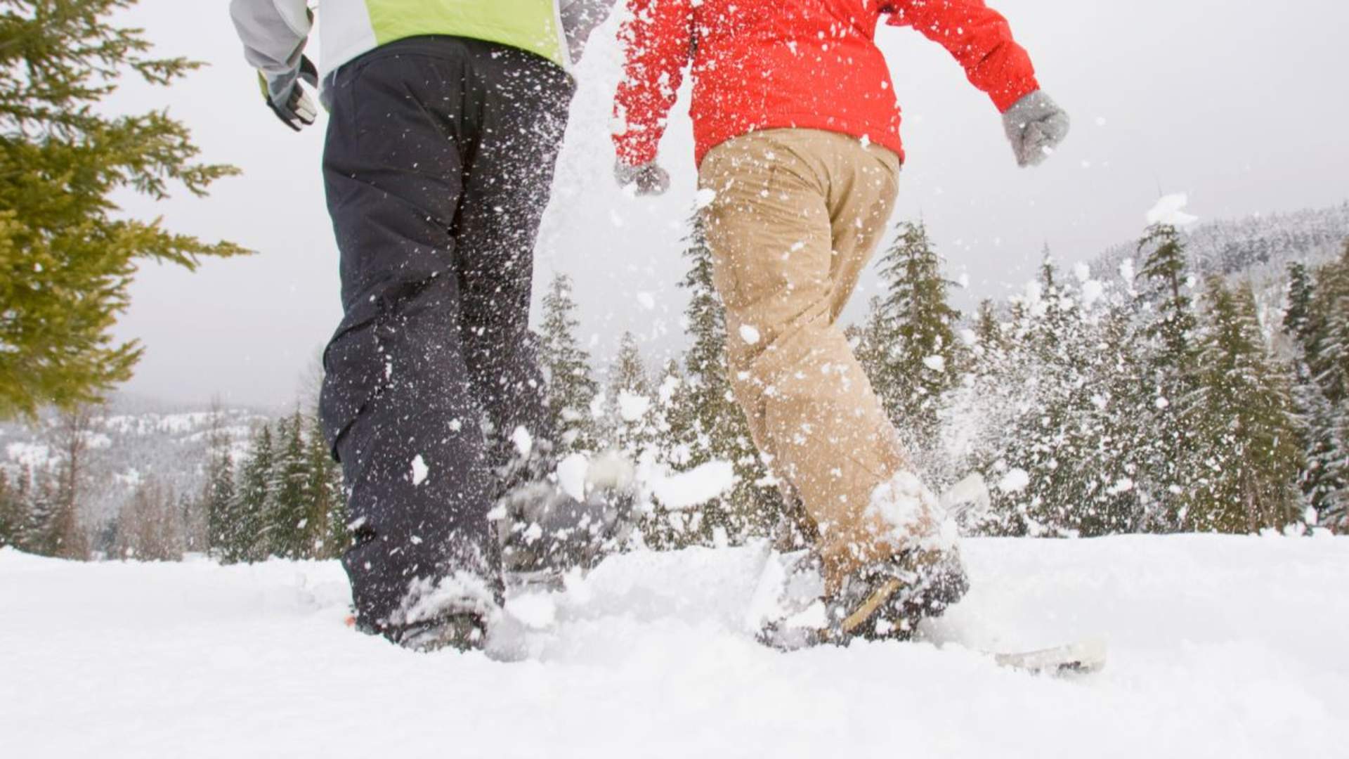 Arktisk trugetur-opplevelse