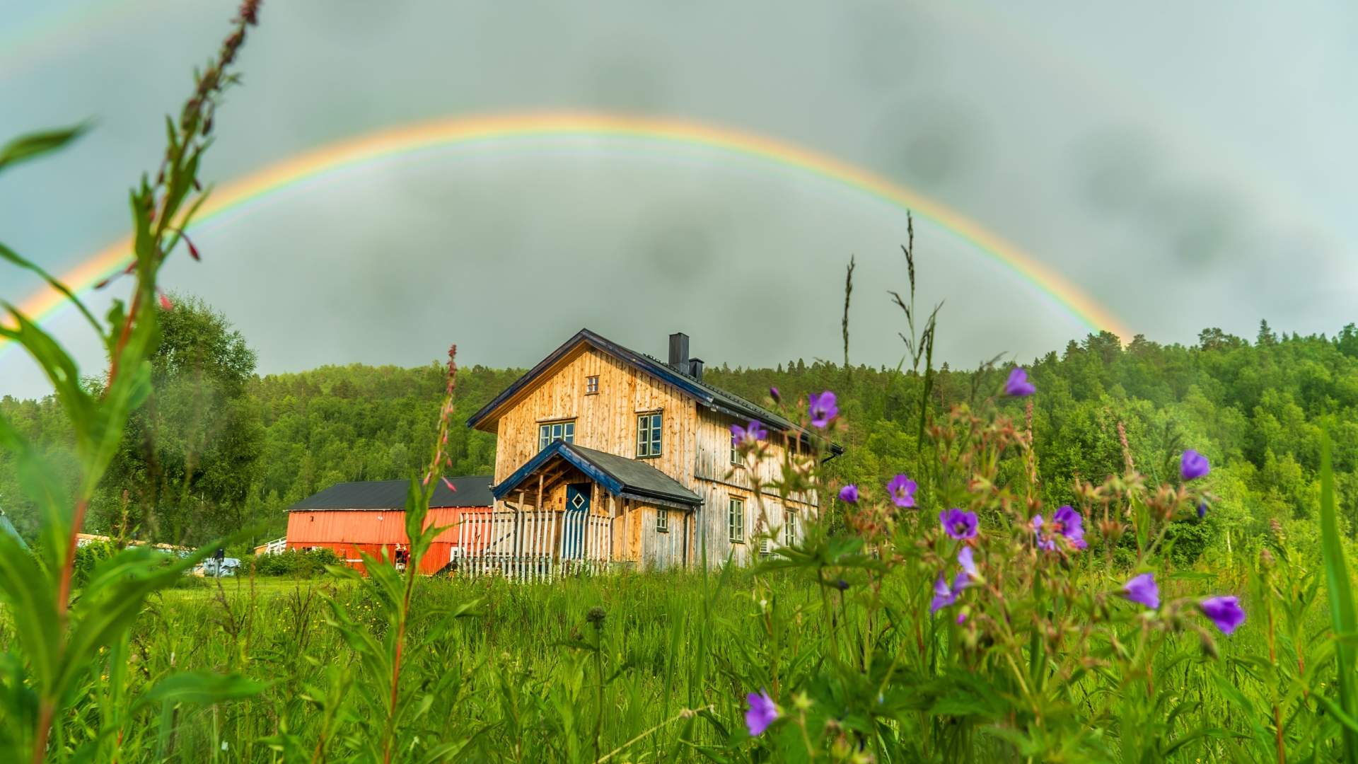 Husky Lodge og aktiviteter med Offtrack Experience (Privat opplevelsespakke)