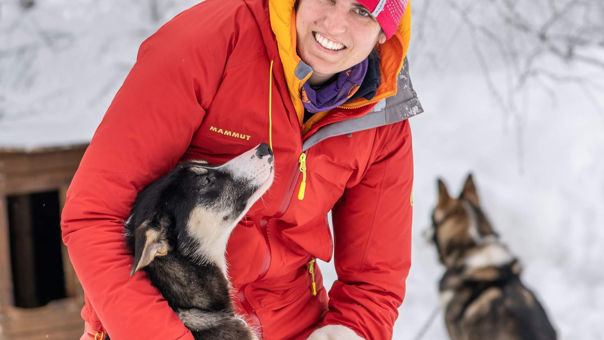 Husky Lodge og aktiviteter med Offtrack Experience (Privat opplevelsespakke)