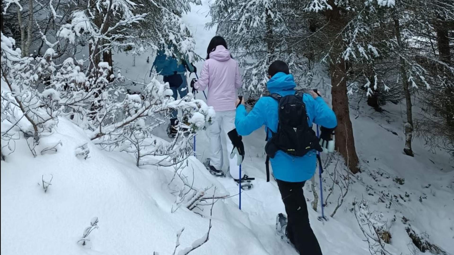 Snowshoeing along the fjord + Norwegian outdoor lunch