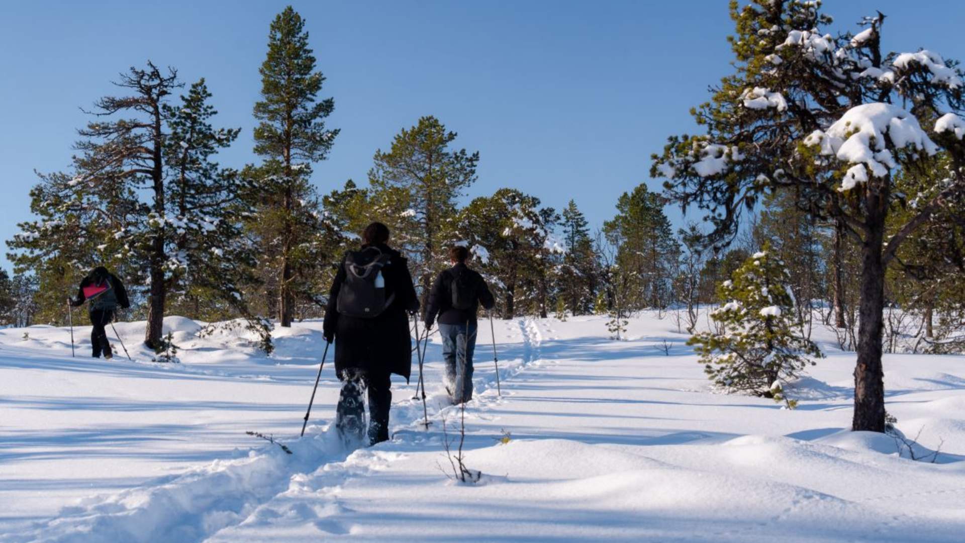 Snowshoeing along the fjord + Norwegian outdoor lunch