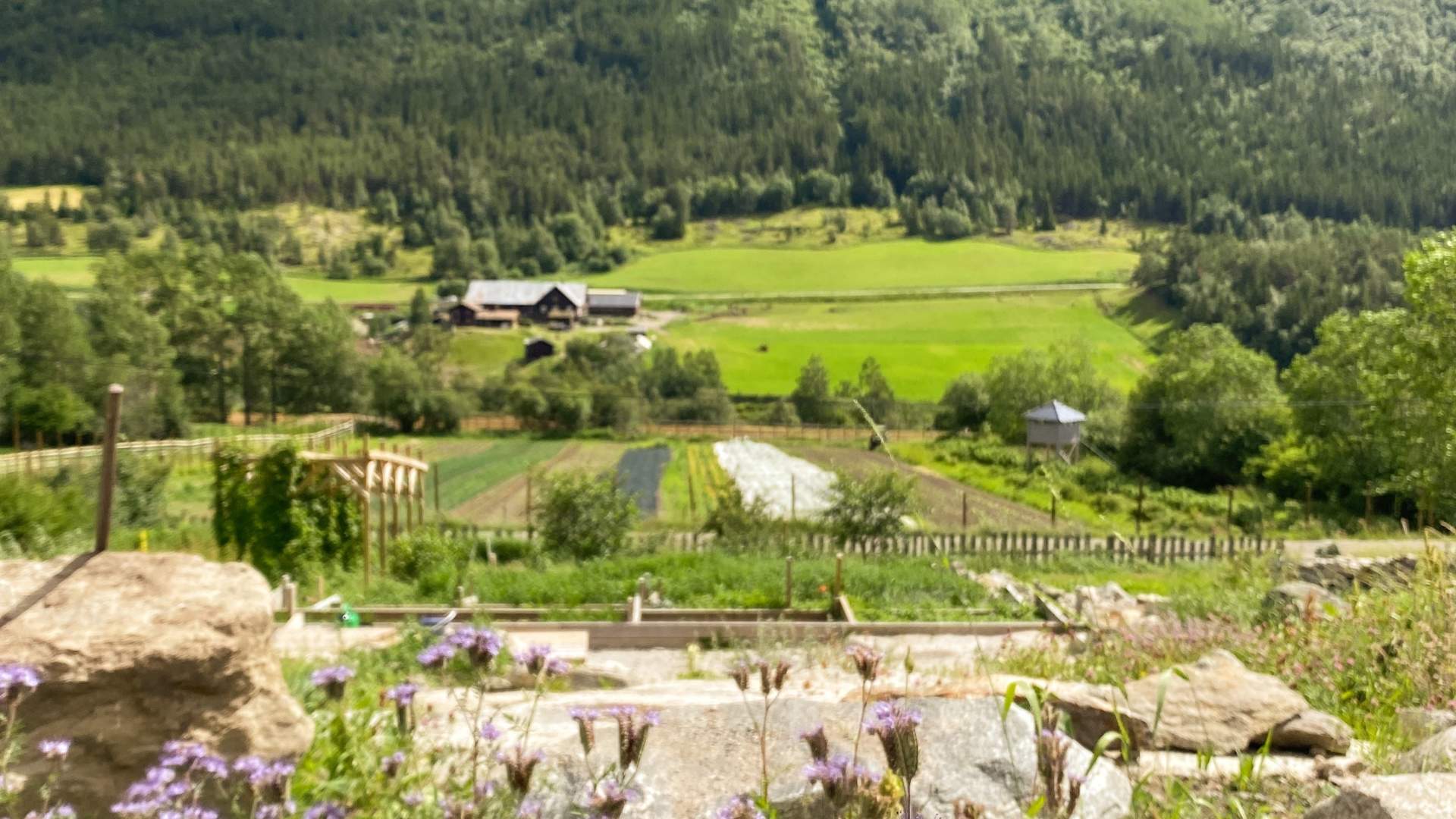 Aukrust gard og urteri