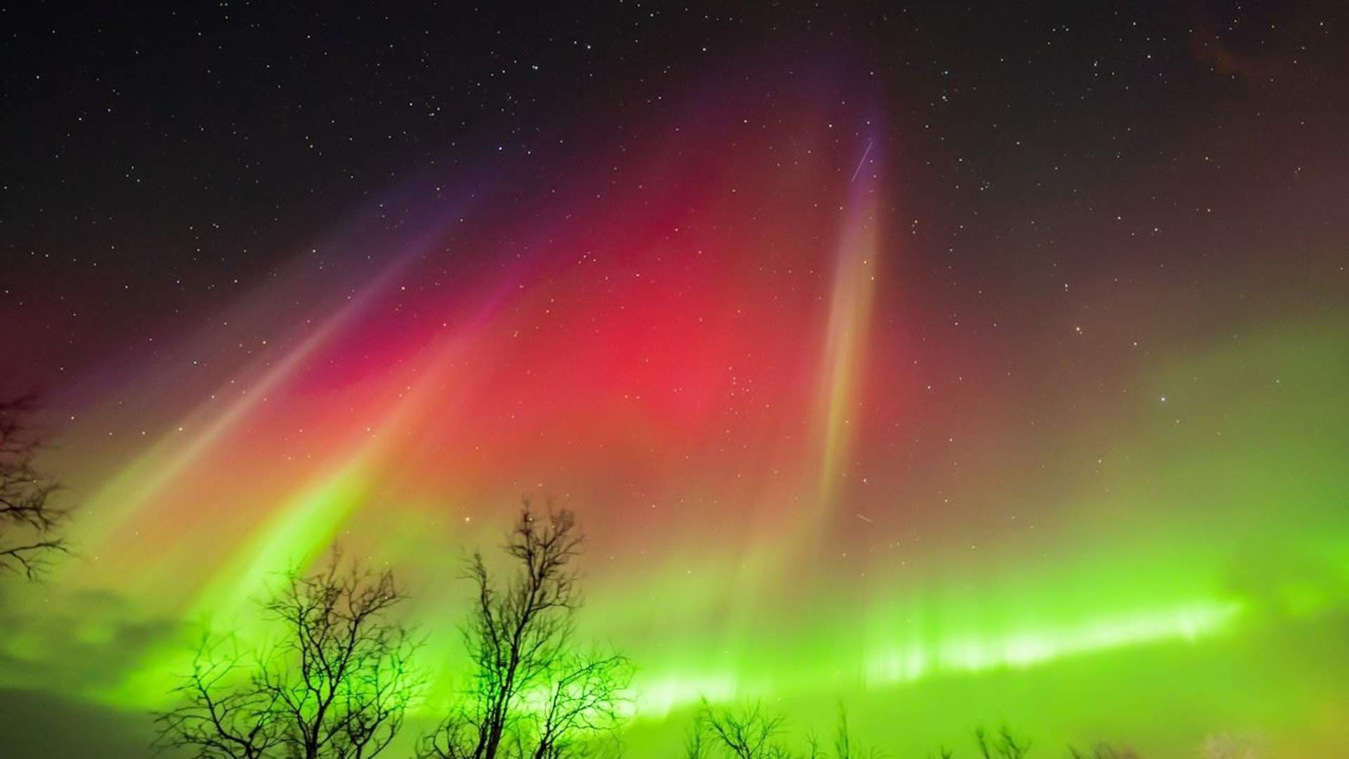 Northern lights chase by minibus