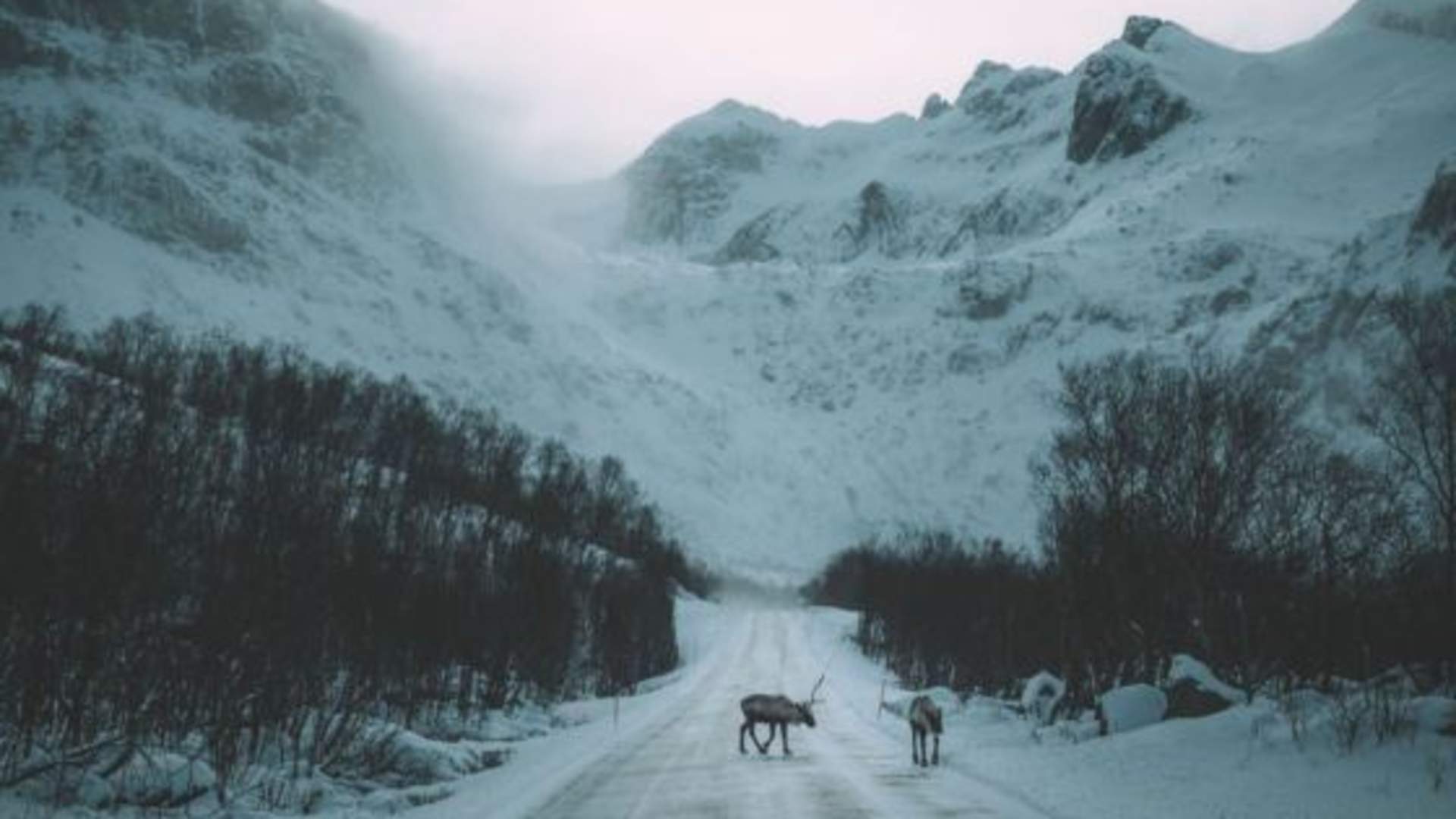 Winter Fjord Road Trip
