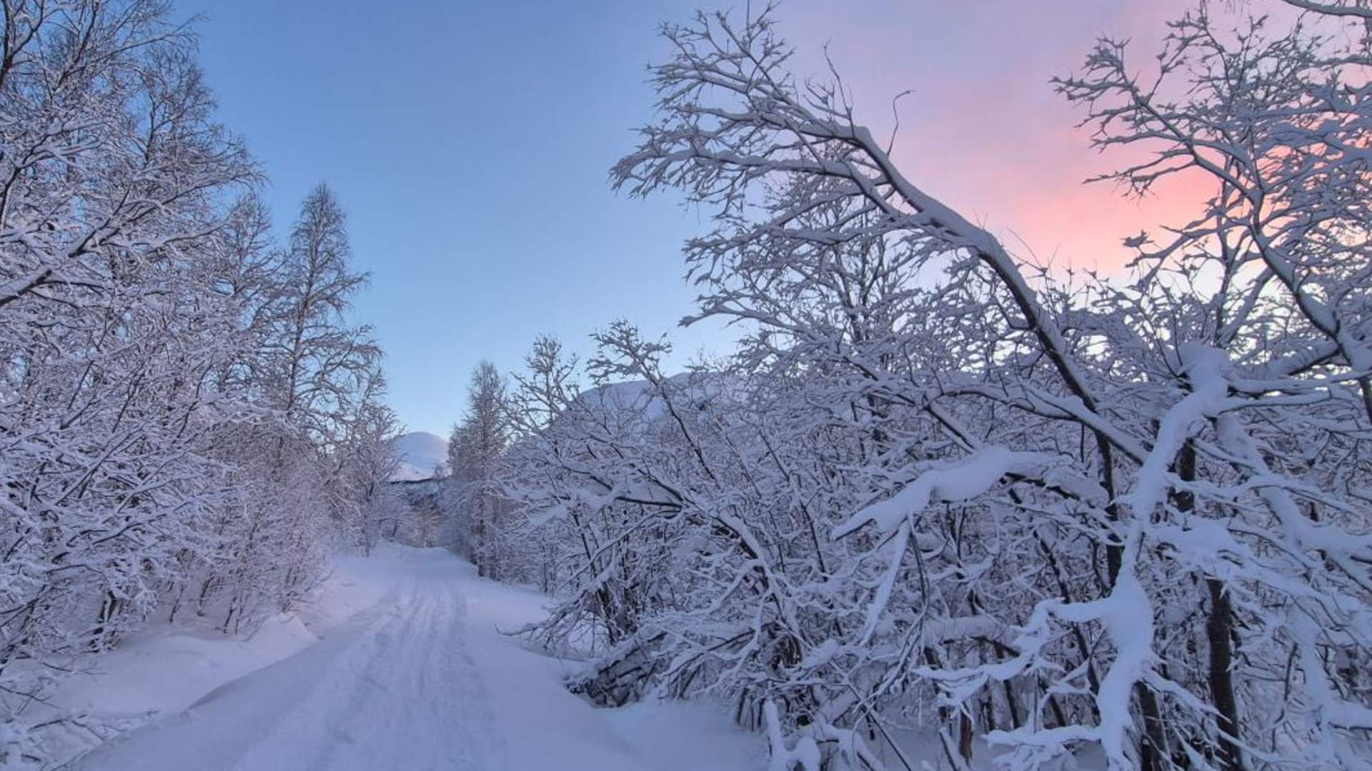 Fjellskitur i polarnatta
