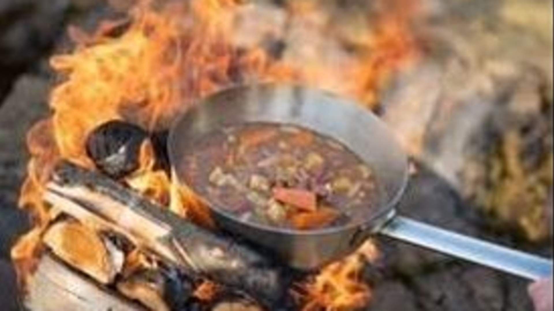 Arctic Fjord Tour, Feed Reindeer, Sámi Camp & Museum