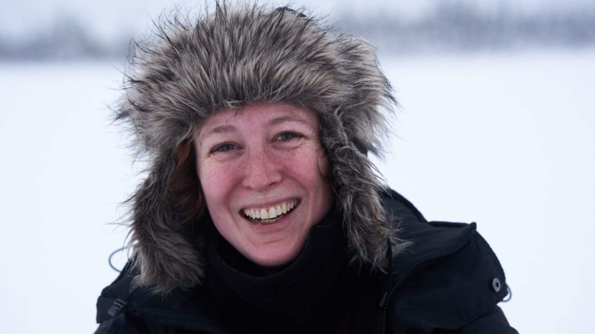 Panorama hundekjøringstur - Into the wild