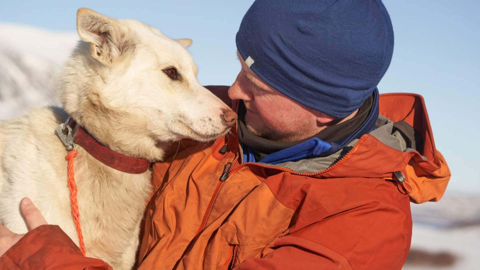 Besøk vår husky hundegård - Into the wild