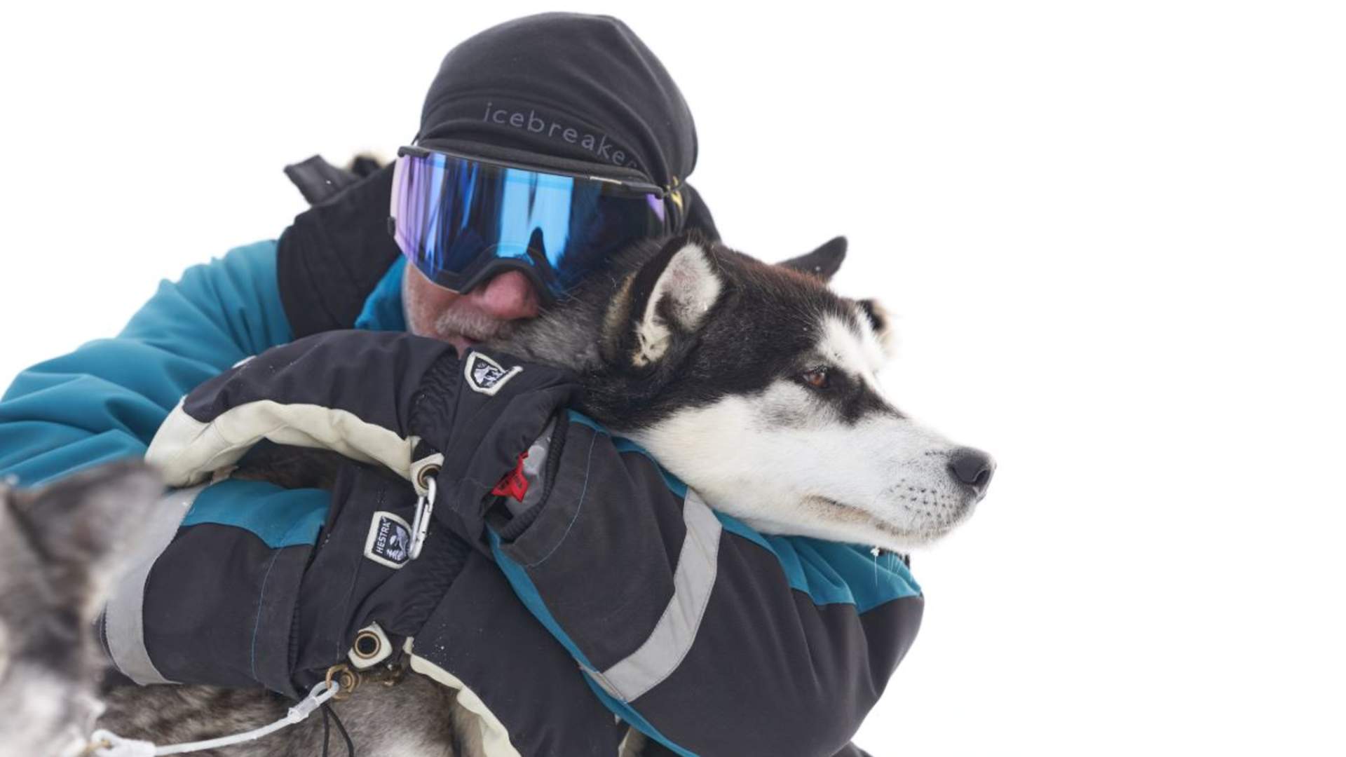 Panorama hundekjøringstur - Into the wild