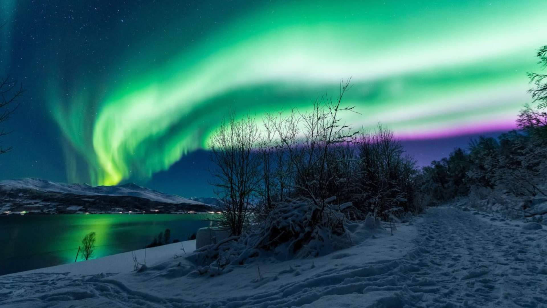 Northern Lights Experience at a Farm