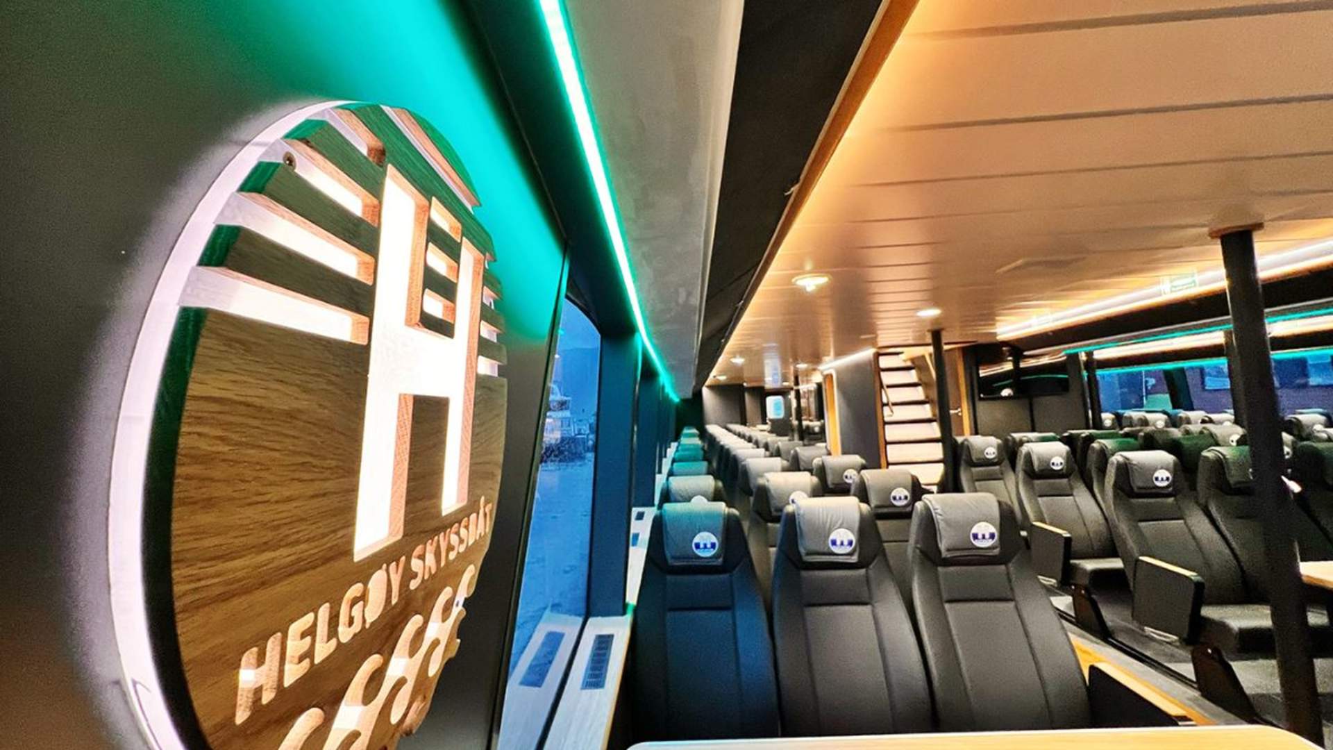 Whale Watching - Fast and comfortable catamaran