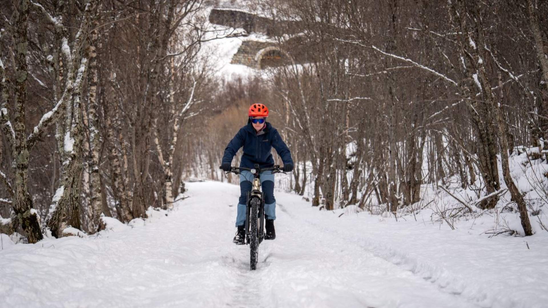 Elektrisk vintersykling