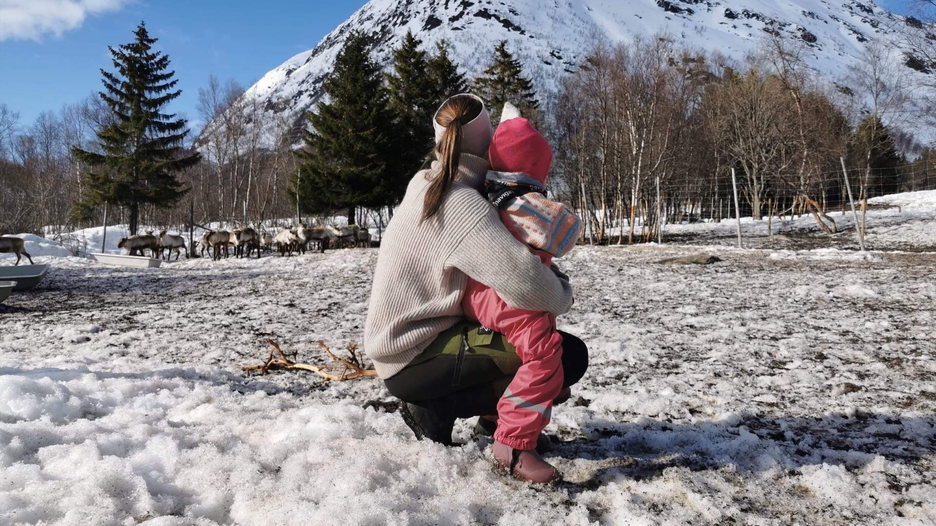 Reinsdyr, kultur og arktiske tradisjoner i Harstad