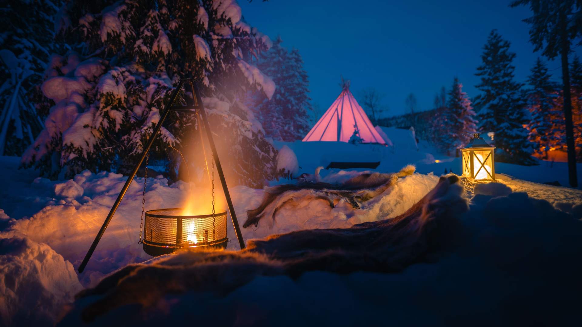 Authentic Reindeer Encounter and Sámi Culture Experience