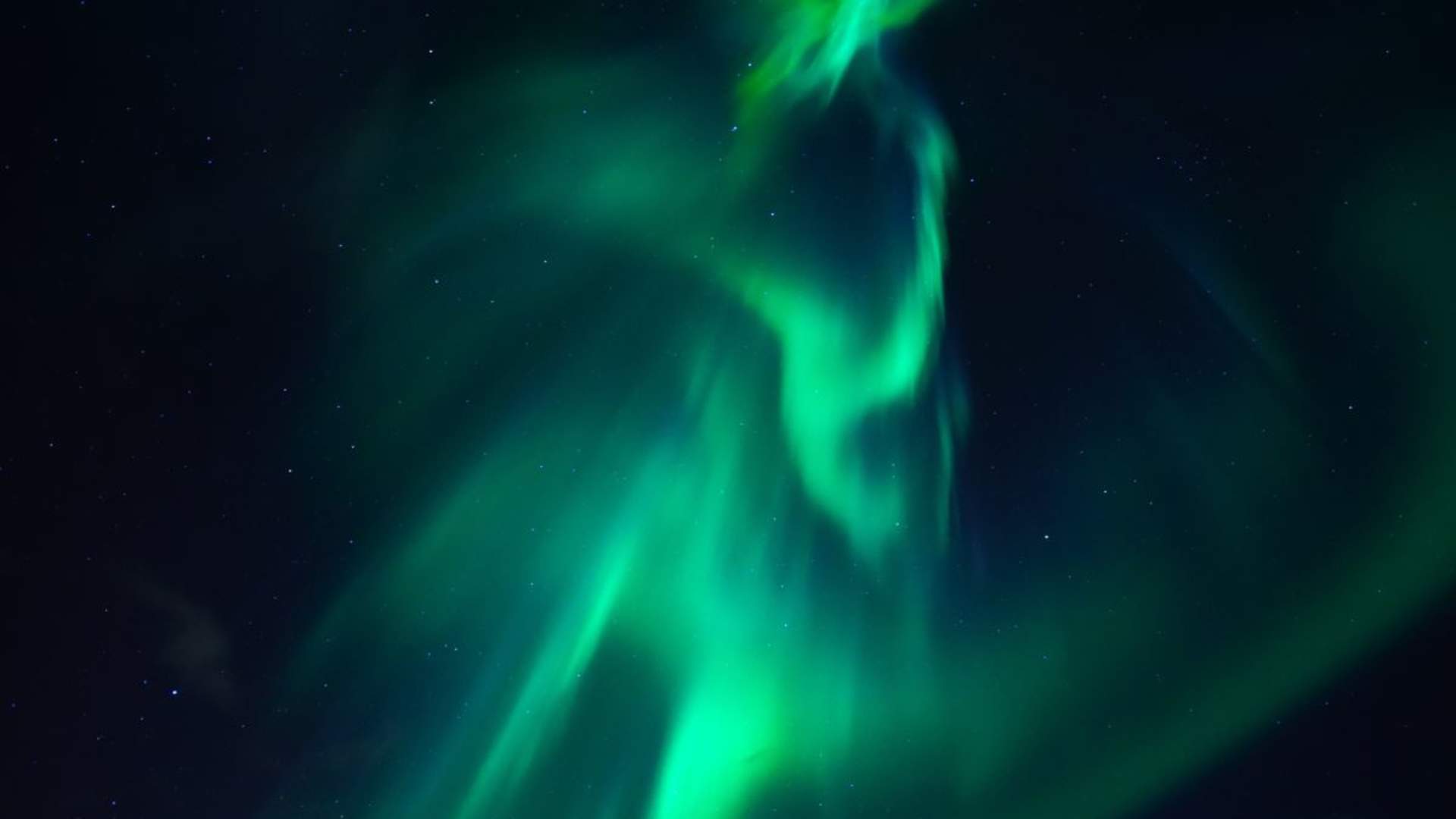 Northern Lights Cruise from Tromsø