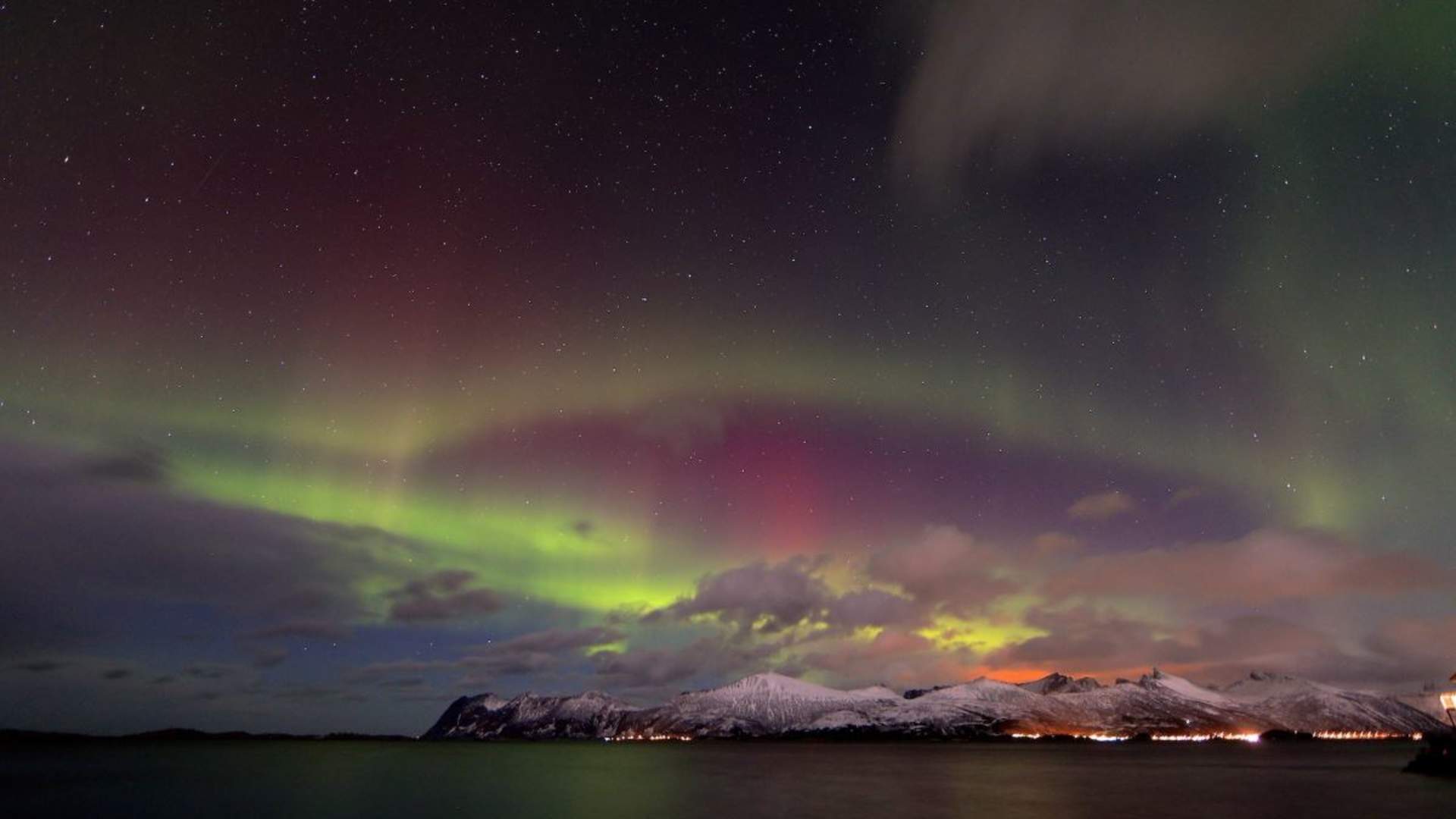 Northern Lights Cruise from Tromsø