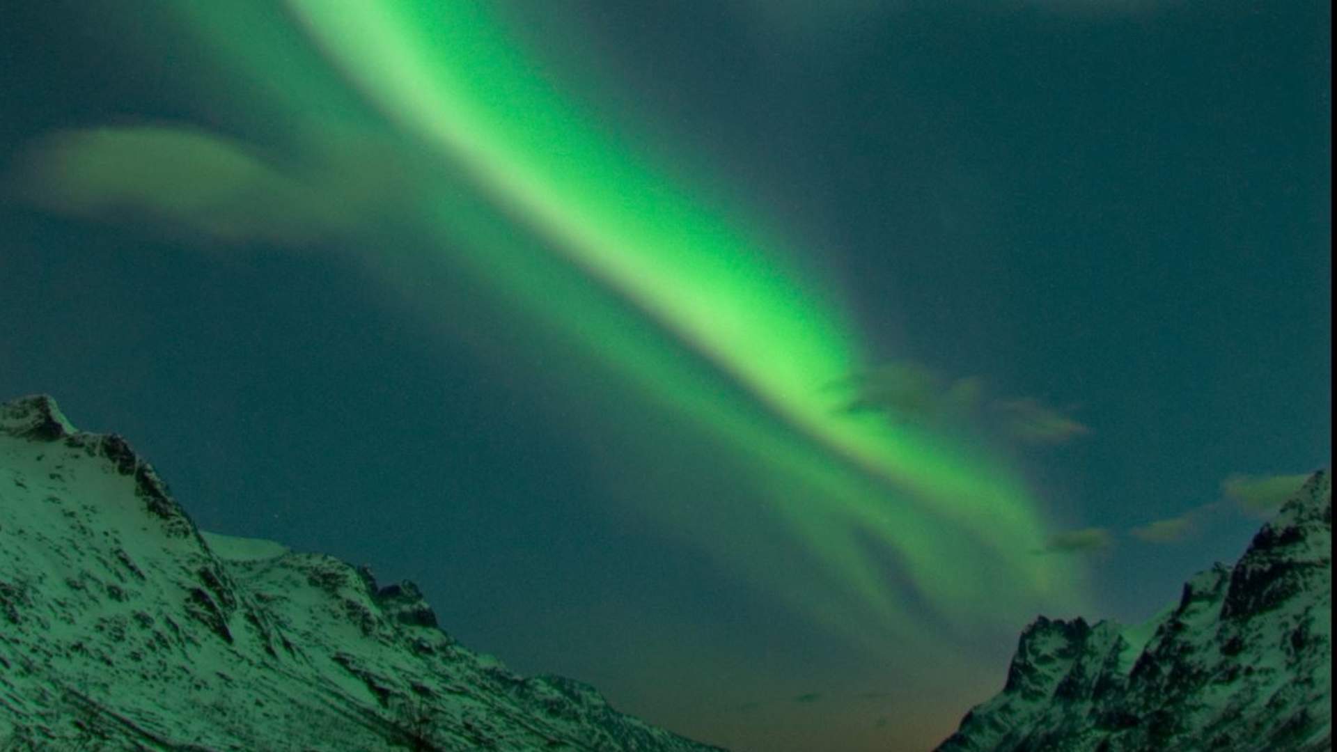 Northern Lights Cruise from Tromsø