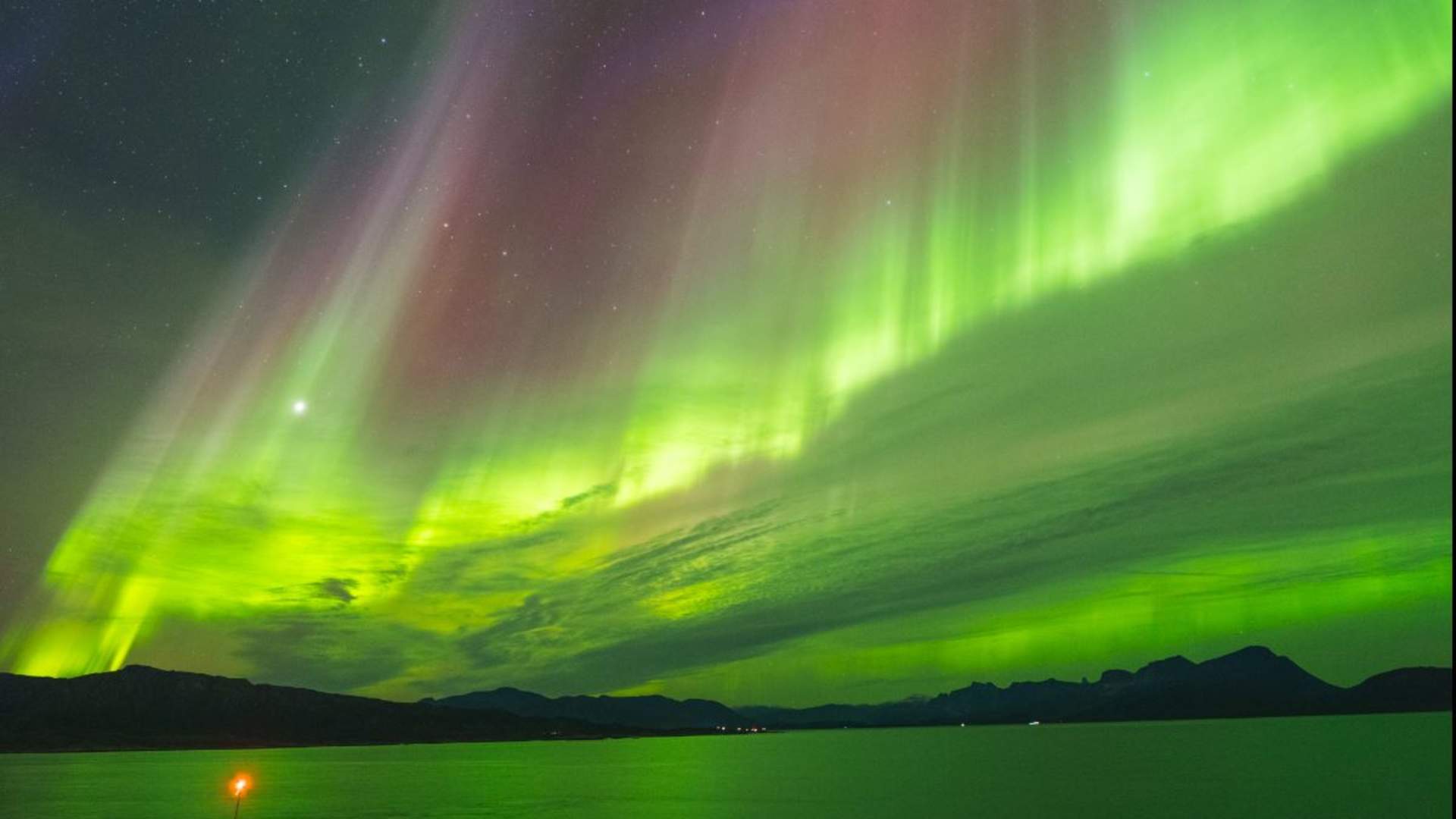 Northern Lights Cruise from Tromsø