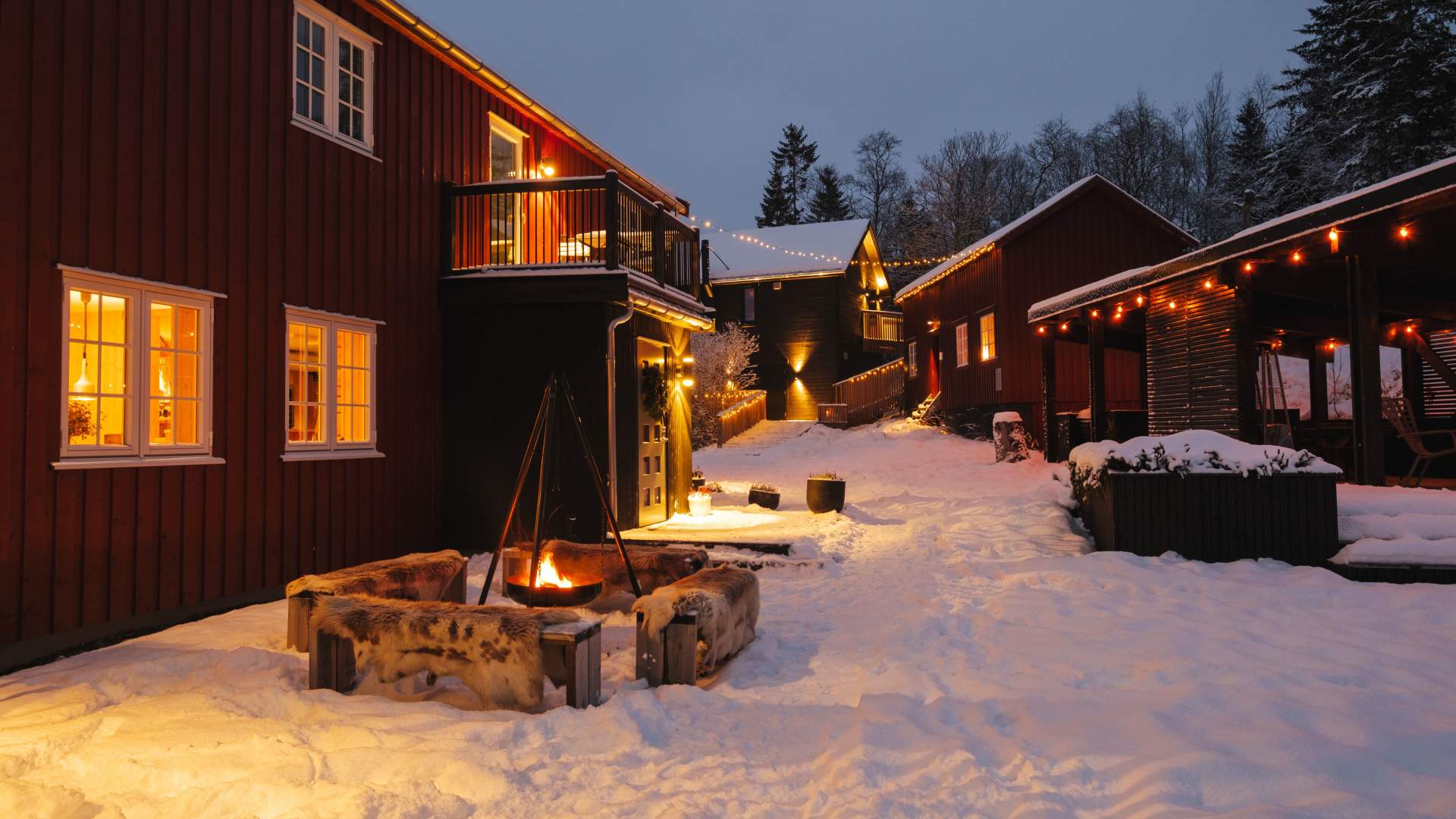 Til Elise fra Marius - fra beite til bord