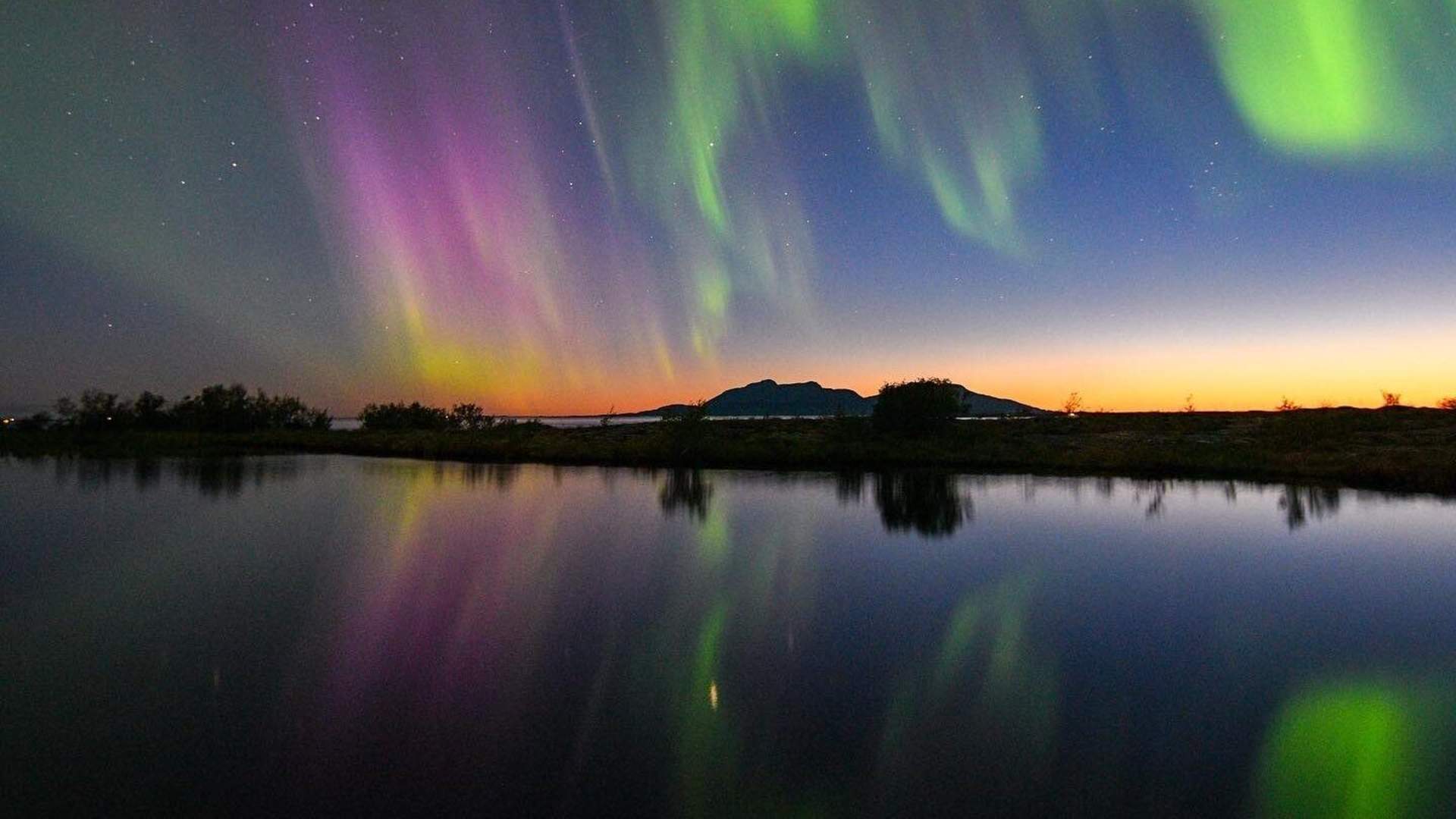 Norwegian Aquaculture Centre – Northern Lights Safari on the Helgeland Coast