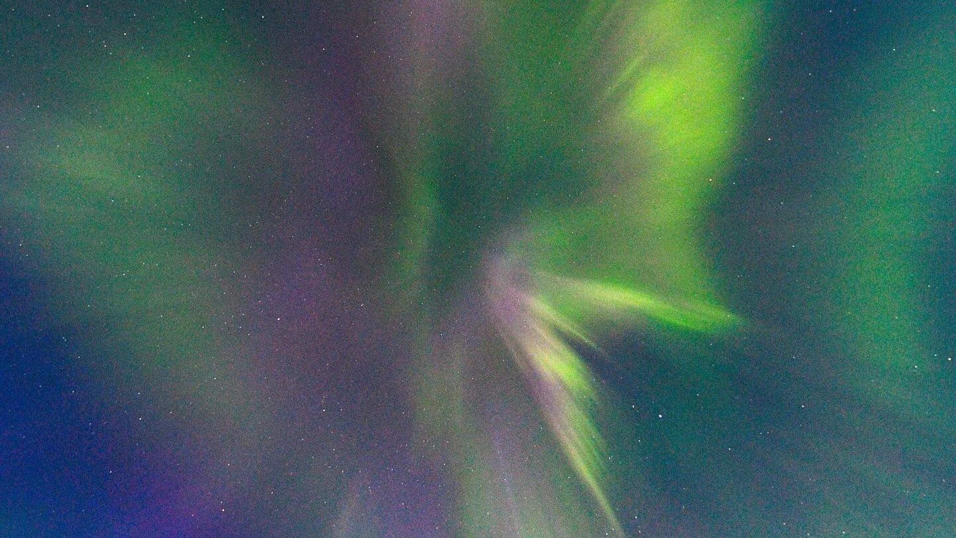 Norwegian Aquaculture Centre – Northern Lights Safari on the Helgeland Coast