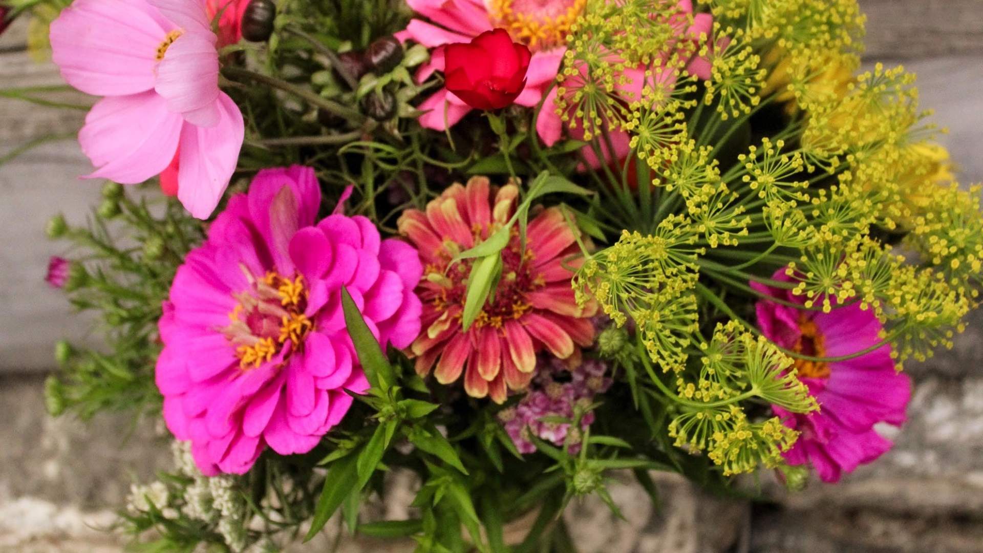 Bøverdalen veksthågå