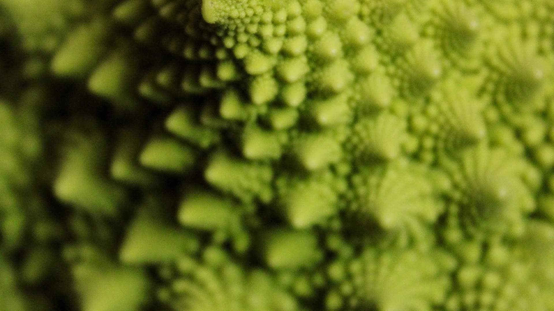 Bøverdalen veksthågå