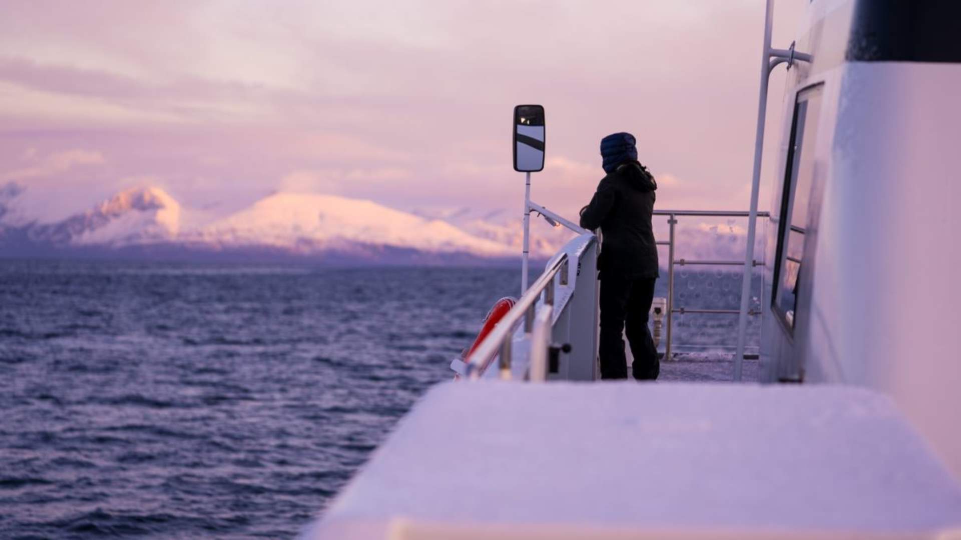 Whale Watching - Fast and comfortable catamaran