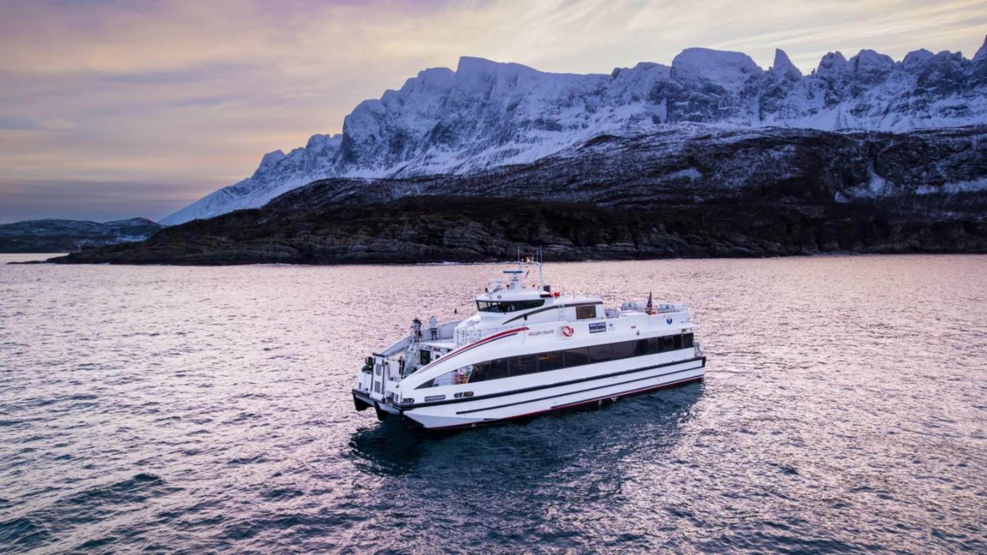 Whale Watching - Fast and comfortable catamaran