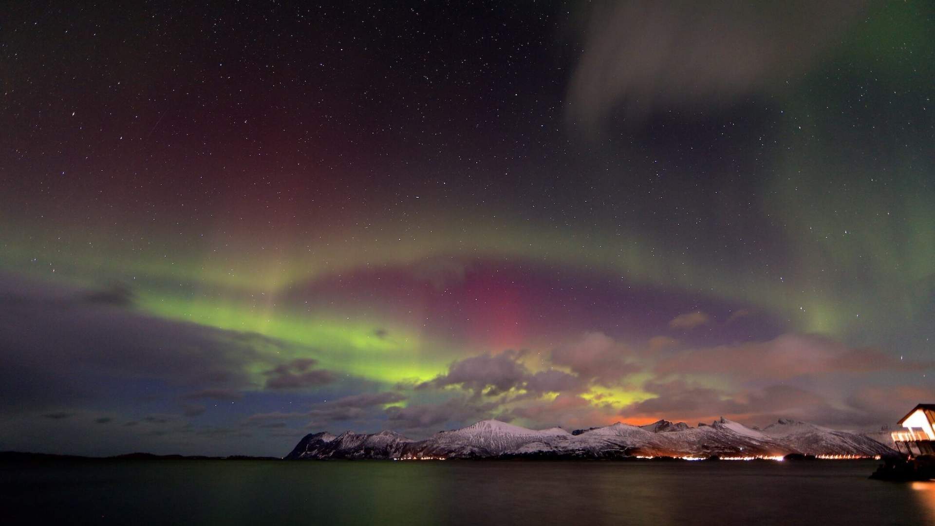 Northern Lights Cruise from Tromsø